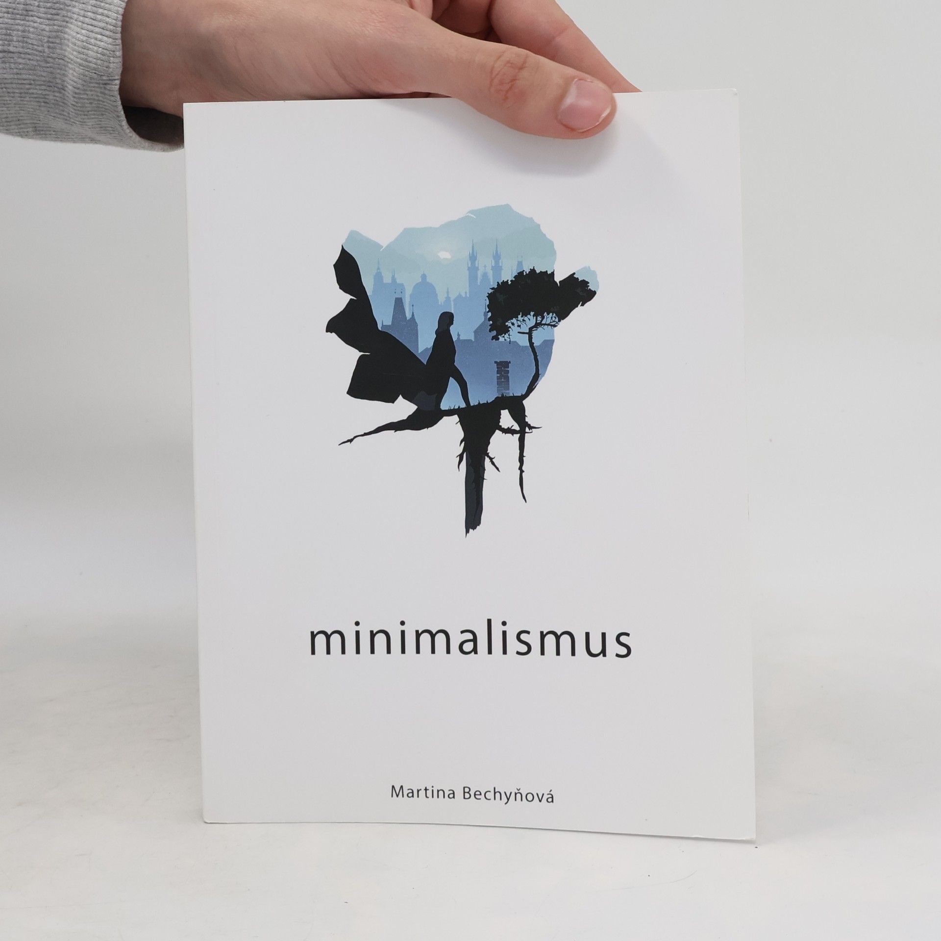 Martina Bechyňková Minimalismus