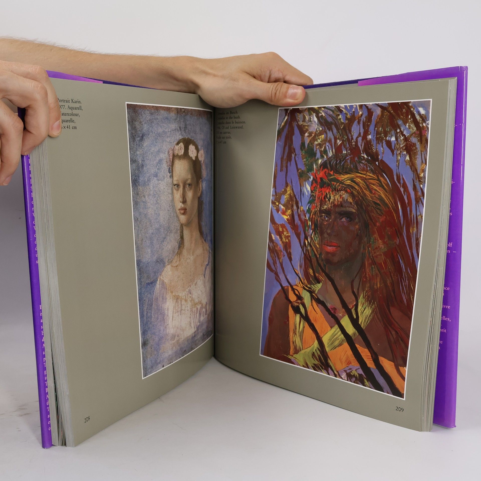 Ernst Fuchs Der Feuerfuchs