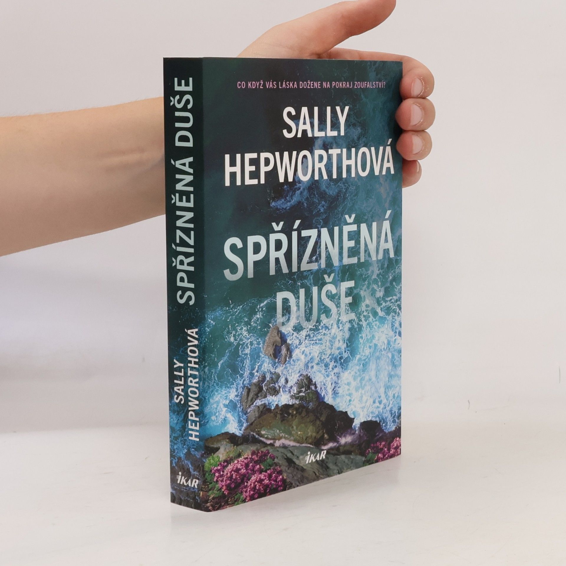 Sally Hepworth Spřízněná duše