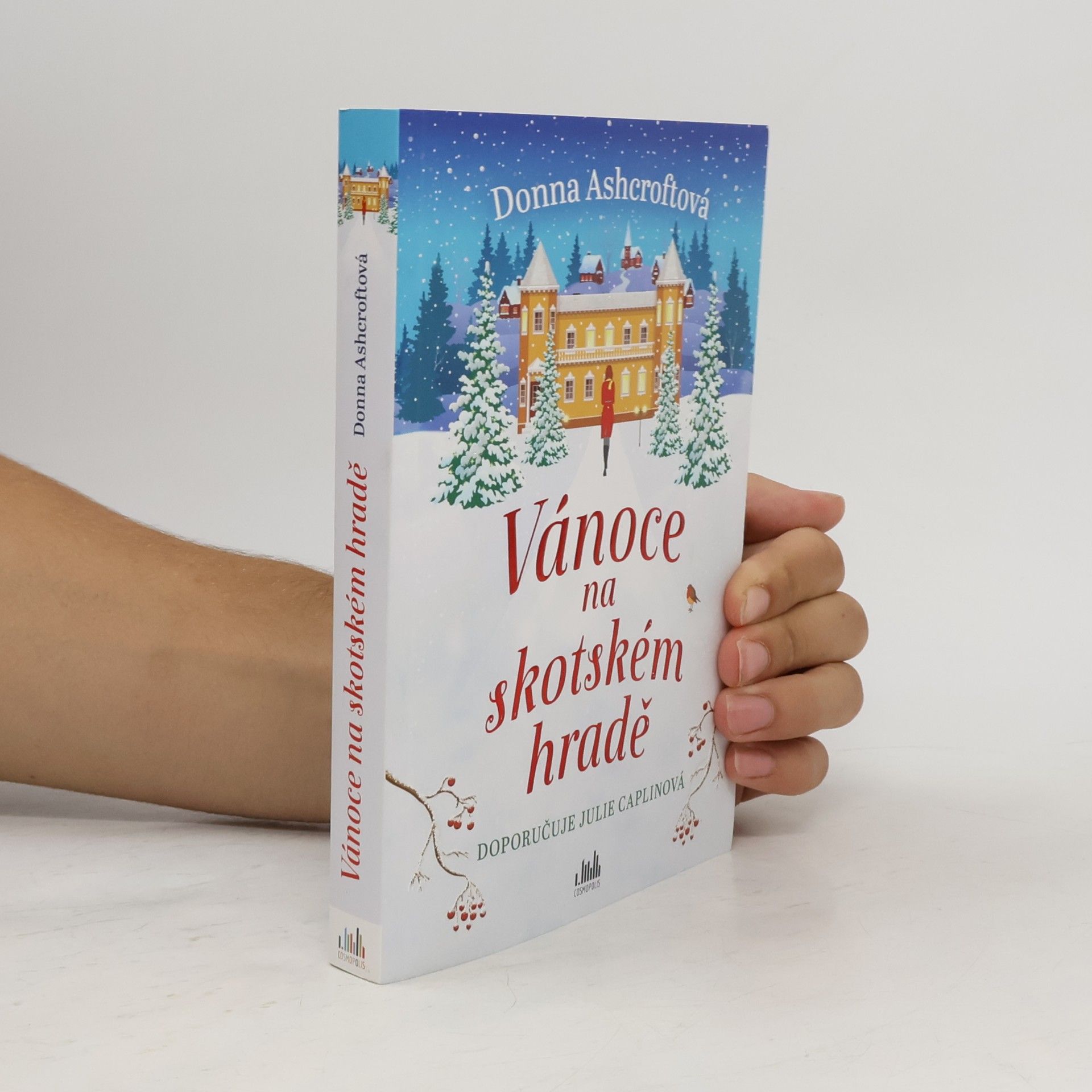 Donna Ashcroft Vánoce na skotském hradě