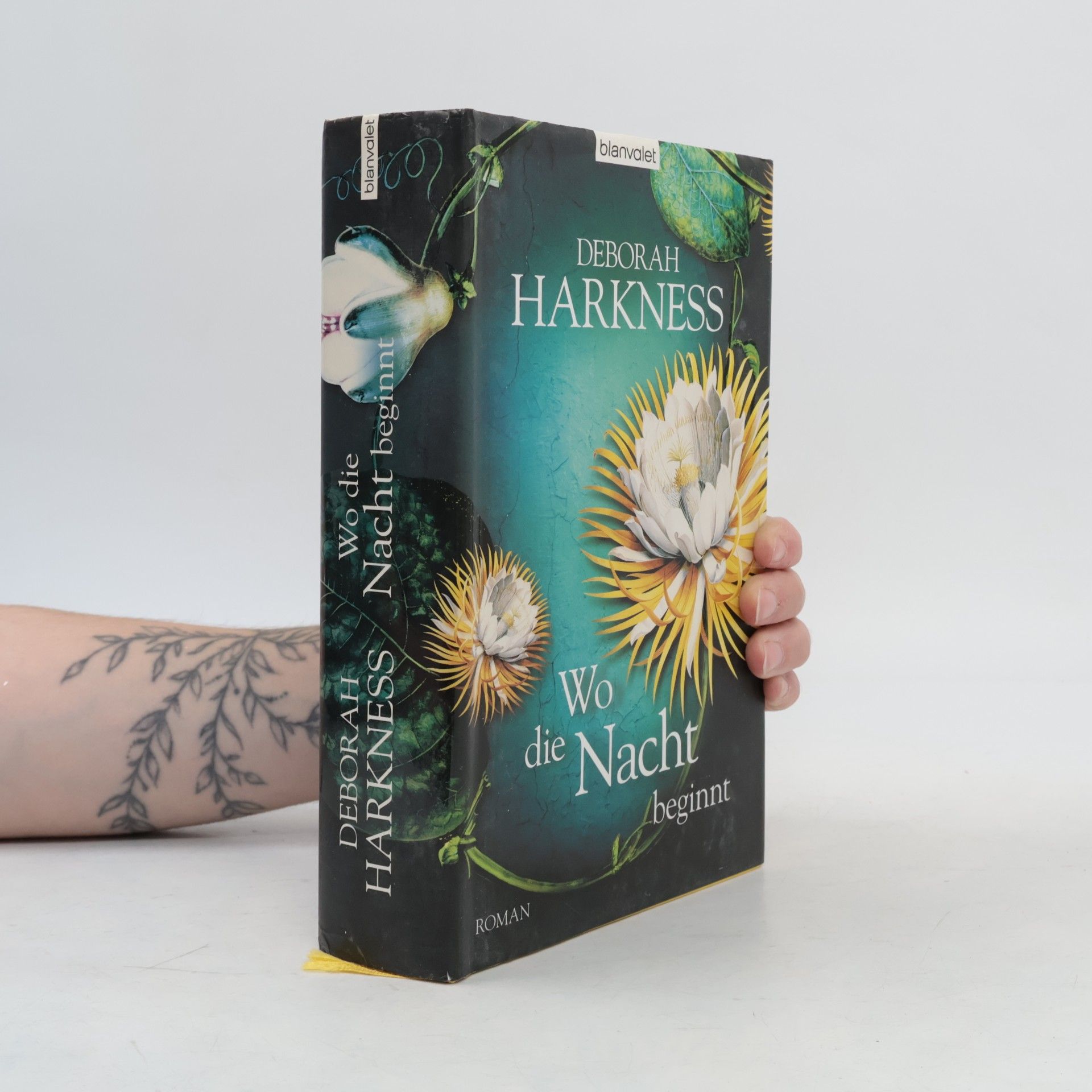 Deborah E. Harkness Wo die Nacht beginnt