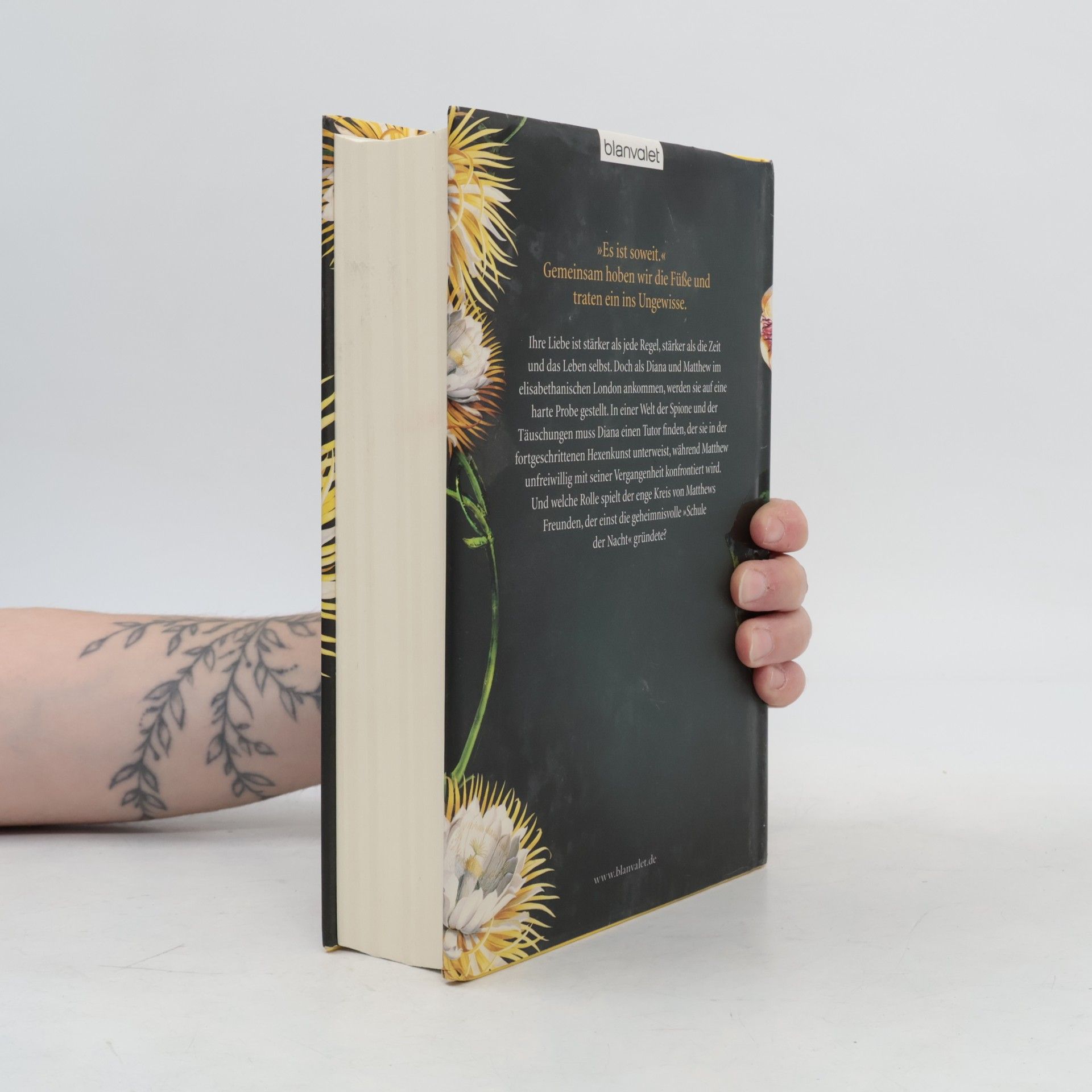 Deborah Harkness Wo die Nacht beginnt