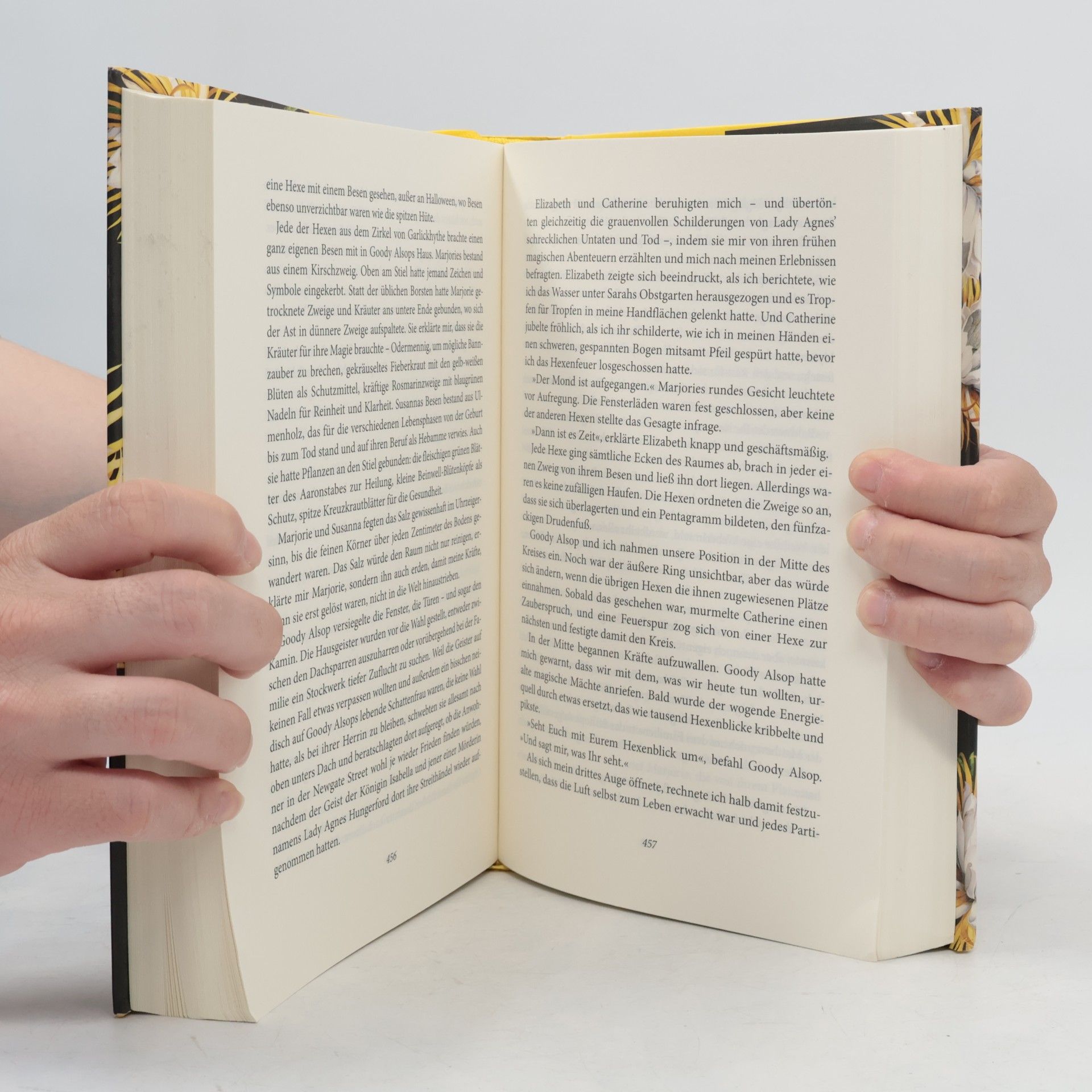 Deborah Harkness Wo die Nacht beginnt