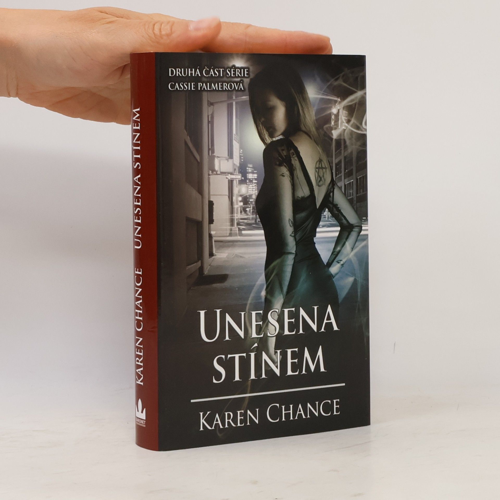 Karen Chance Unesena stínem