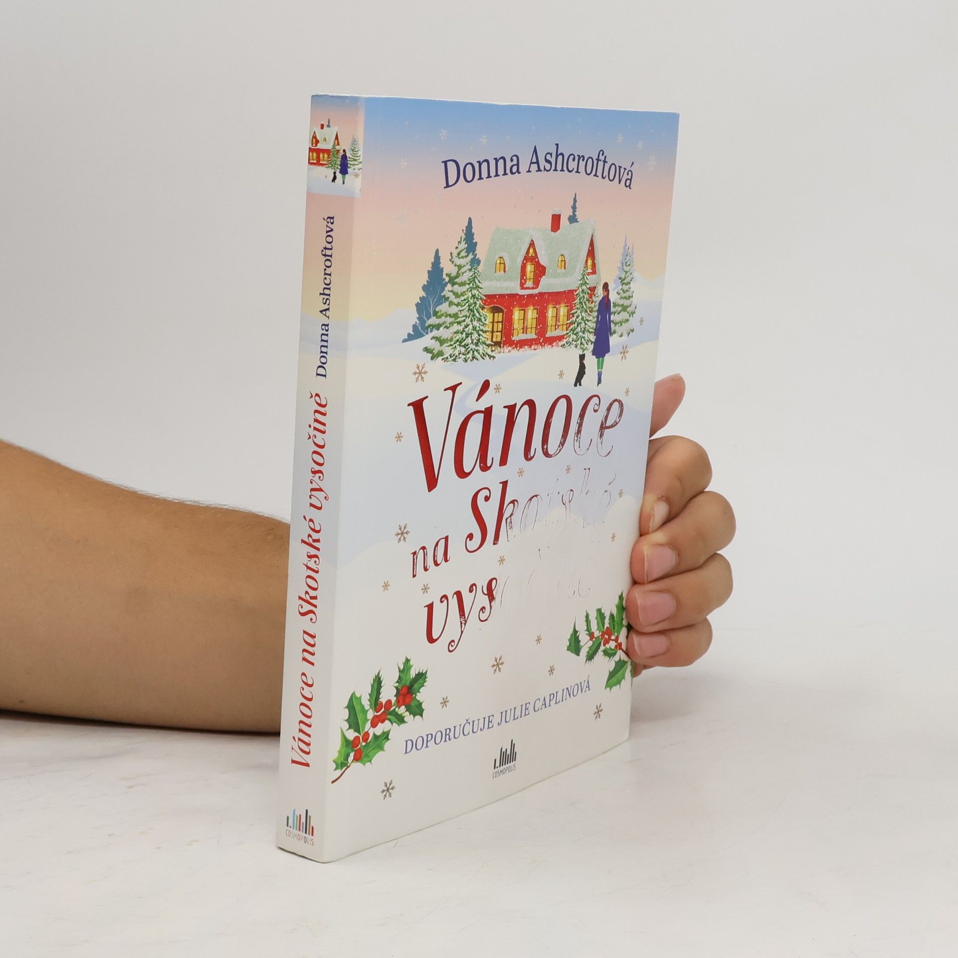 Donna Ashcroft Vánoce na Skotské vysočině