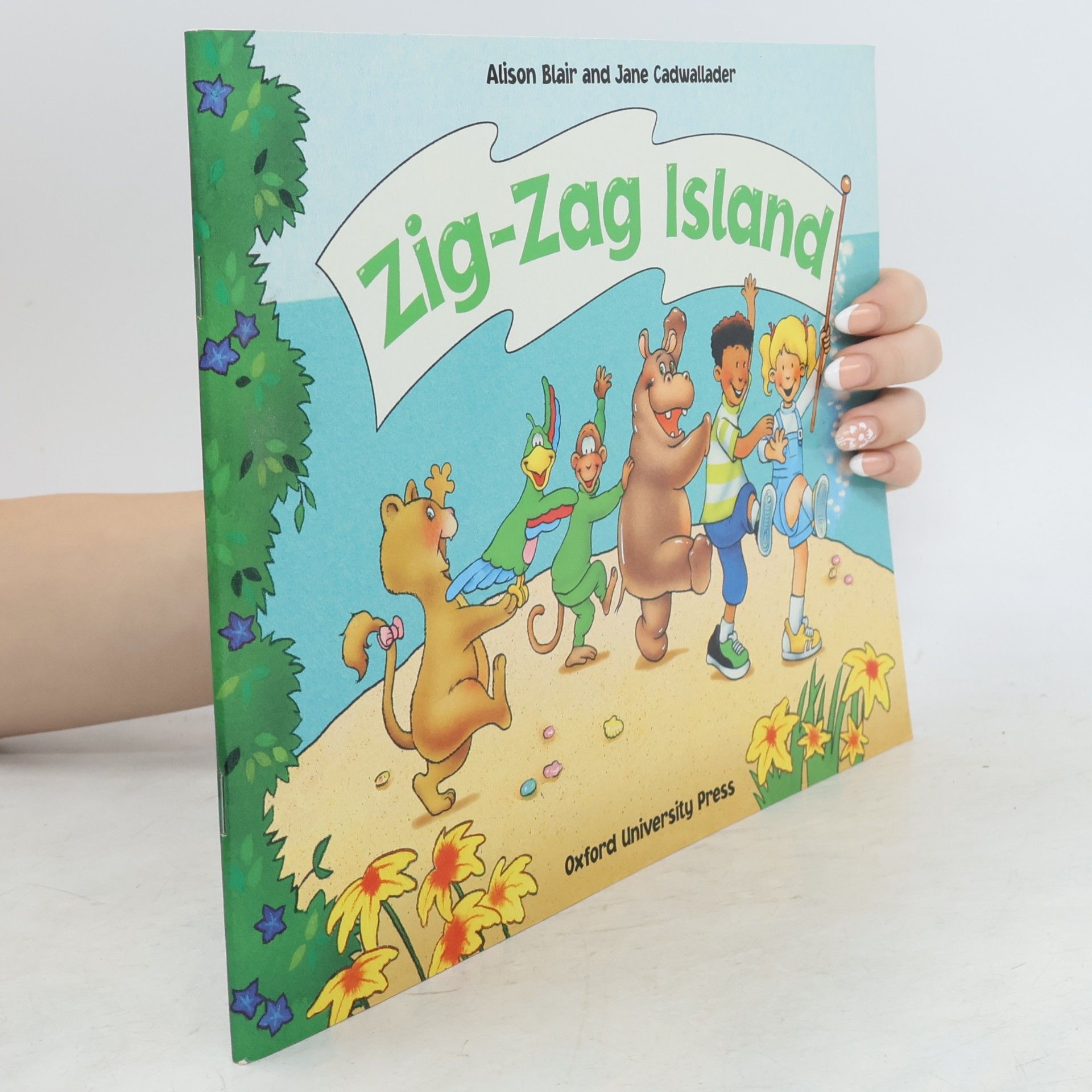 Alison Blair Zig-zag island