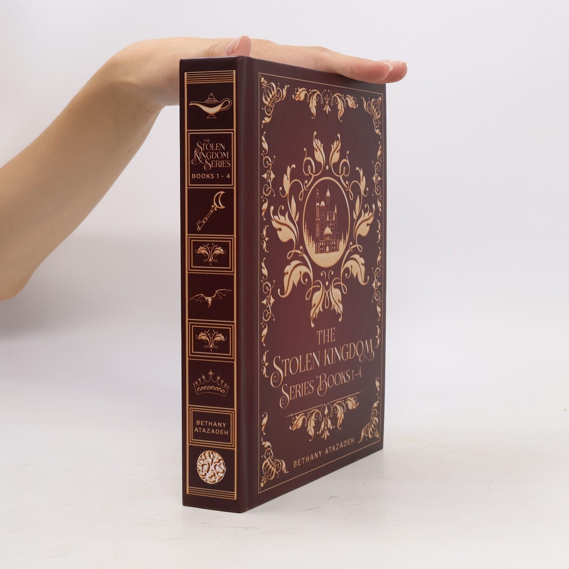 The Stolen Kingdom Series