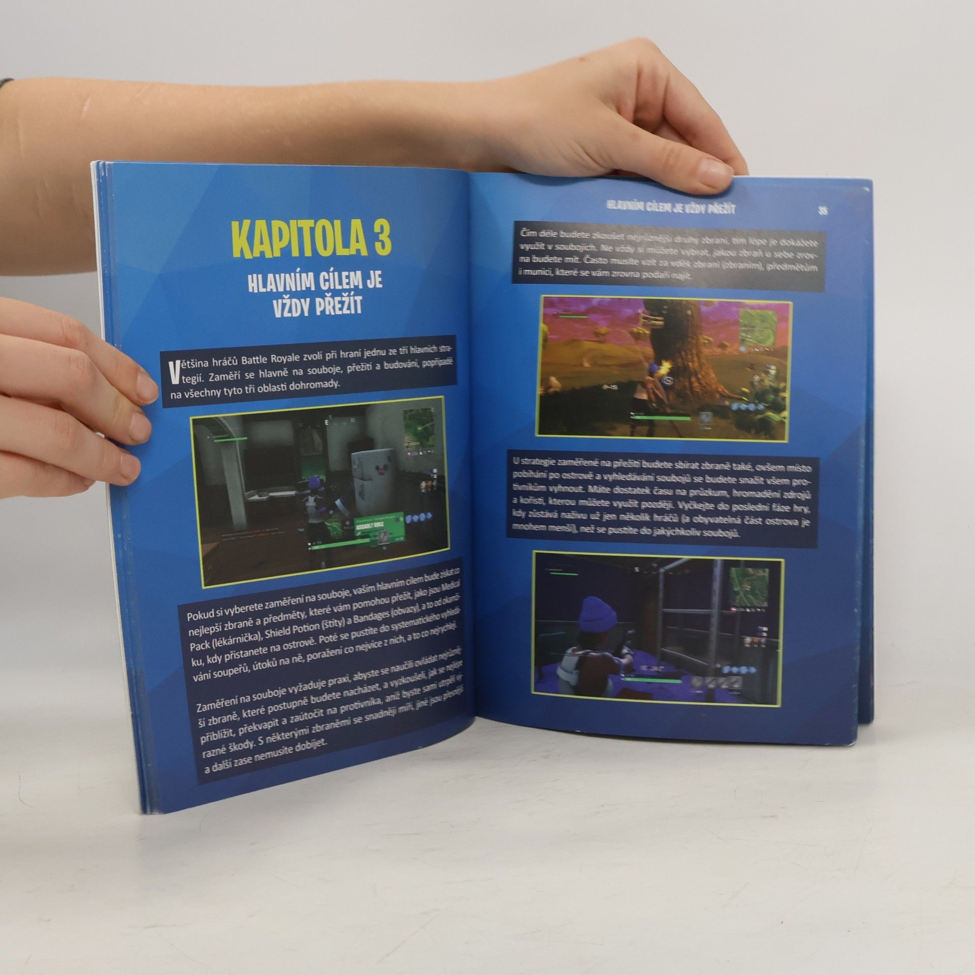 Jason Rich Fortnite Battle Royale: Příručka bojovníka: Neoficiální tipy a triky