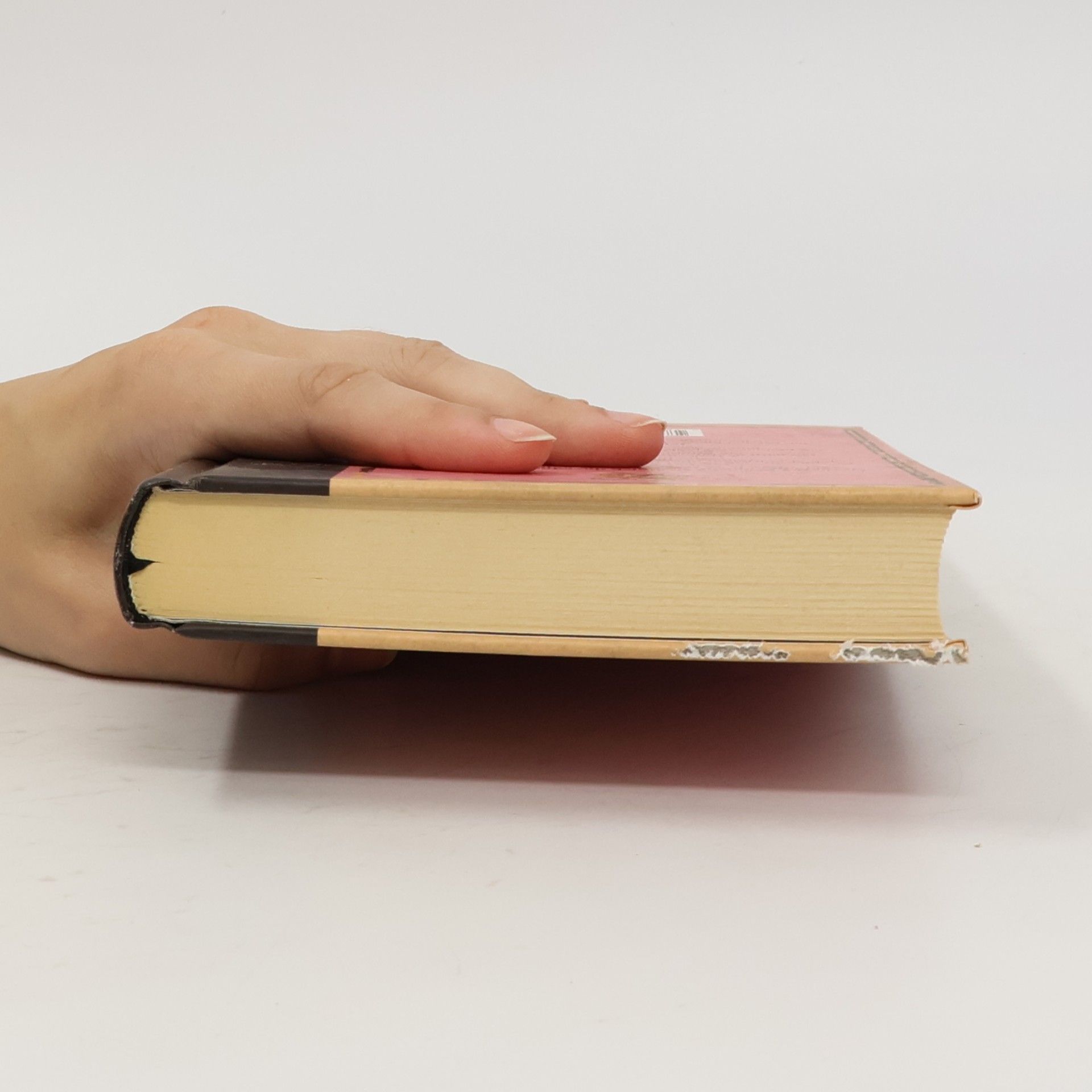 Bunty Cutler 211 věcí, které zvládne každé bystré děvče