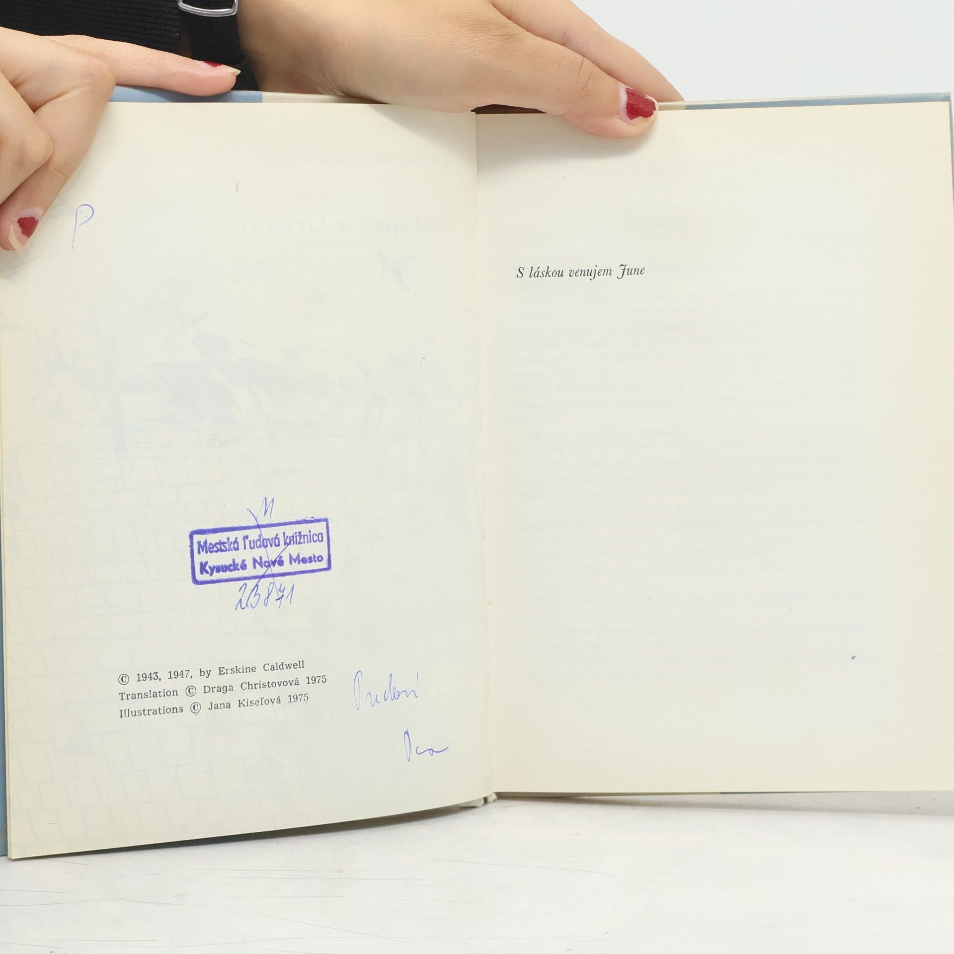 Erskine Caldwell Chlapec z Georgie