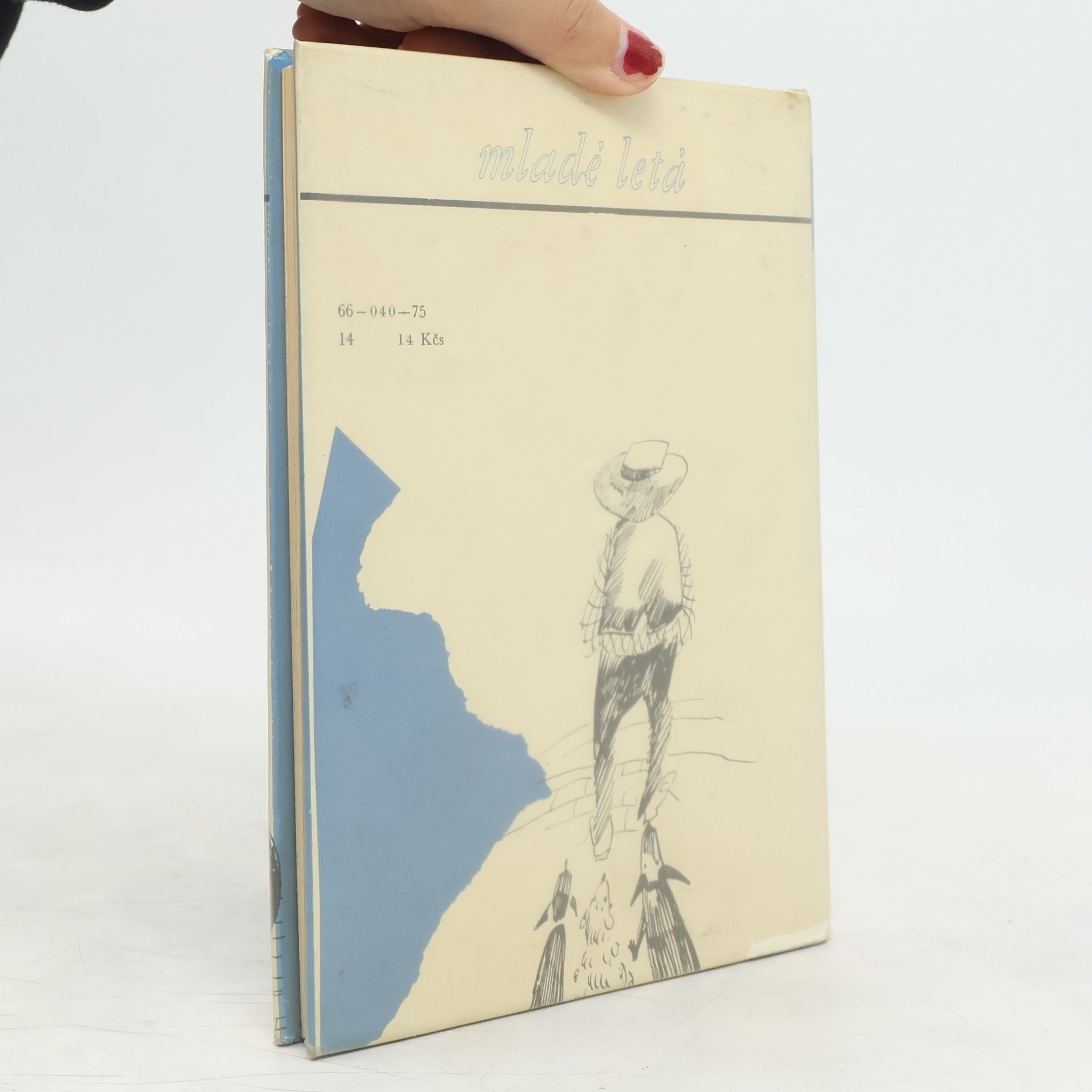 Erskine Caldwell Chlapec z Georgie