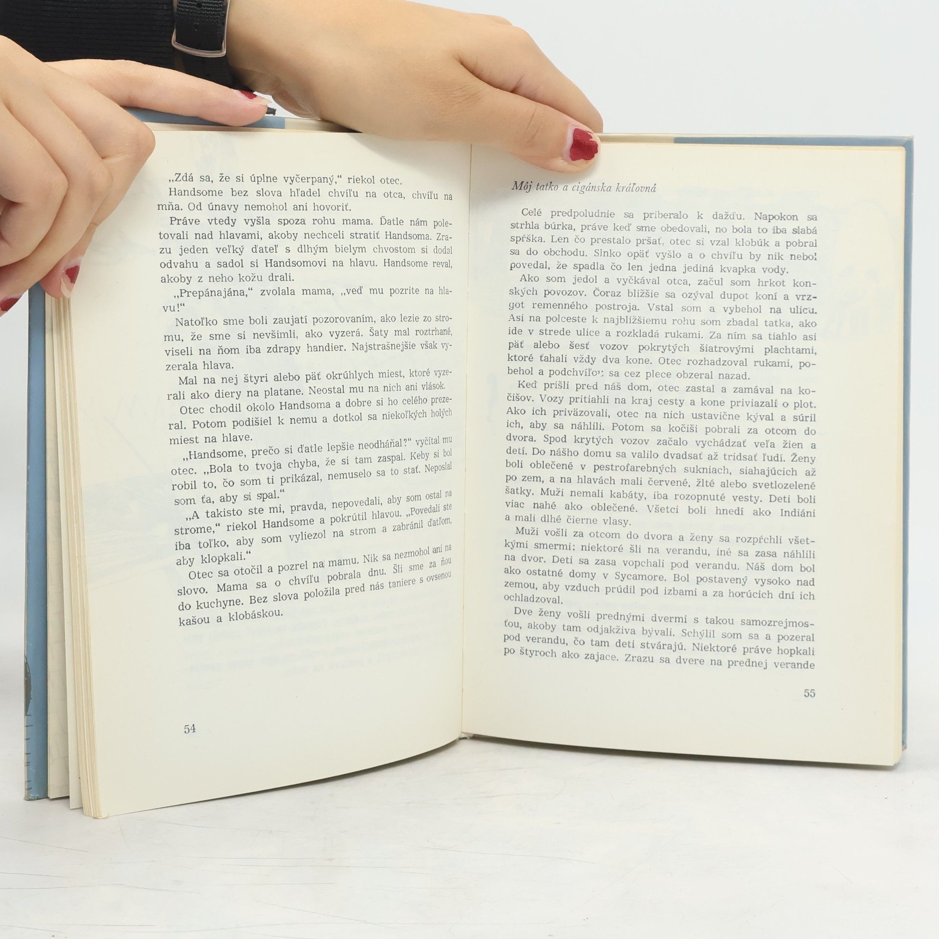 Erskine Caldwell Chlapec z Georgie
