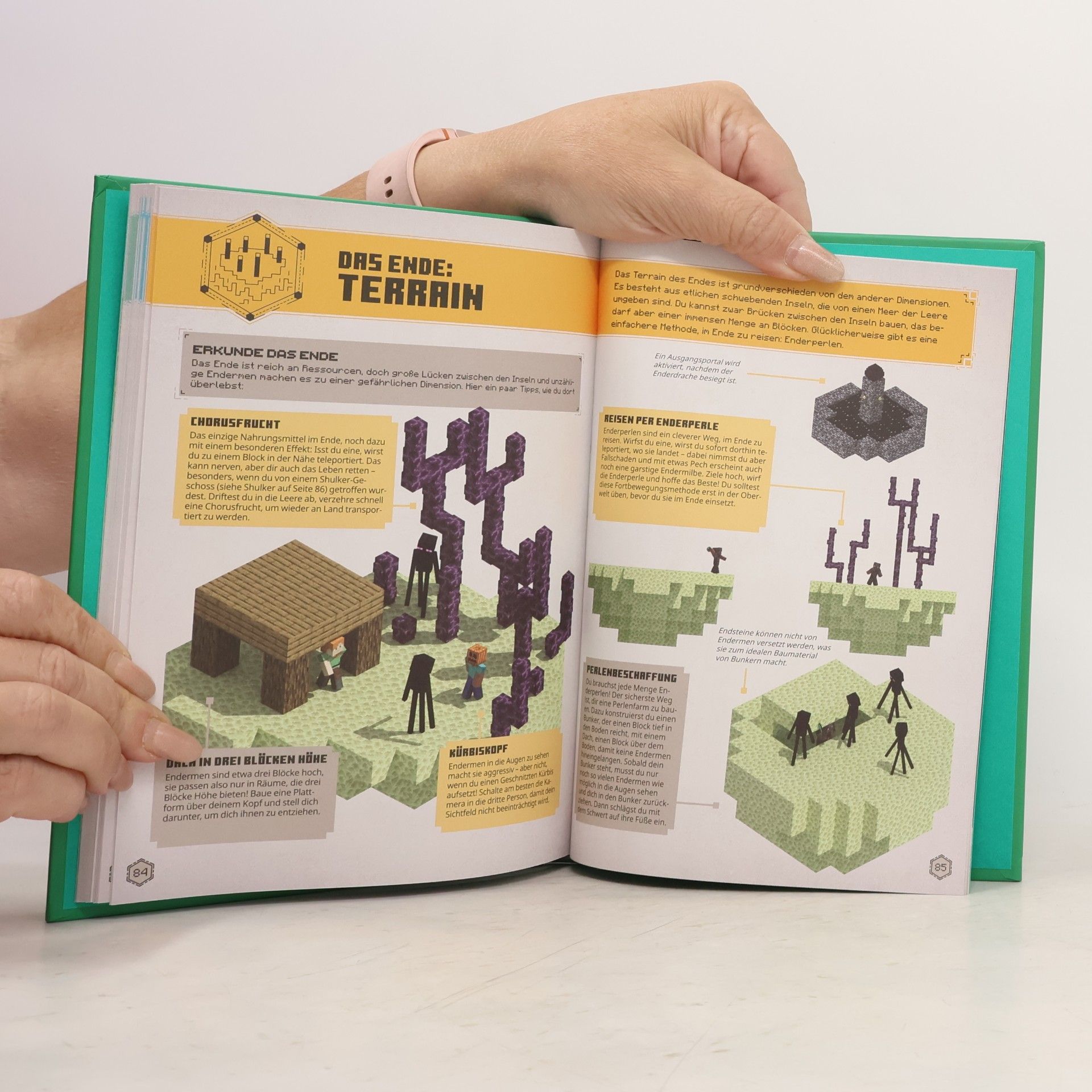 Minecraft Minecraft Das Survival-Handbuch