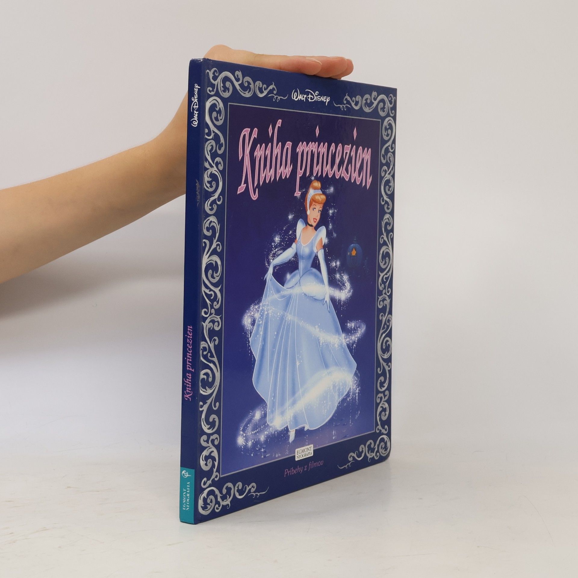 Ann Braybrooks Kniha princezien