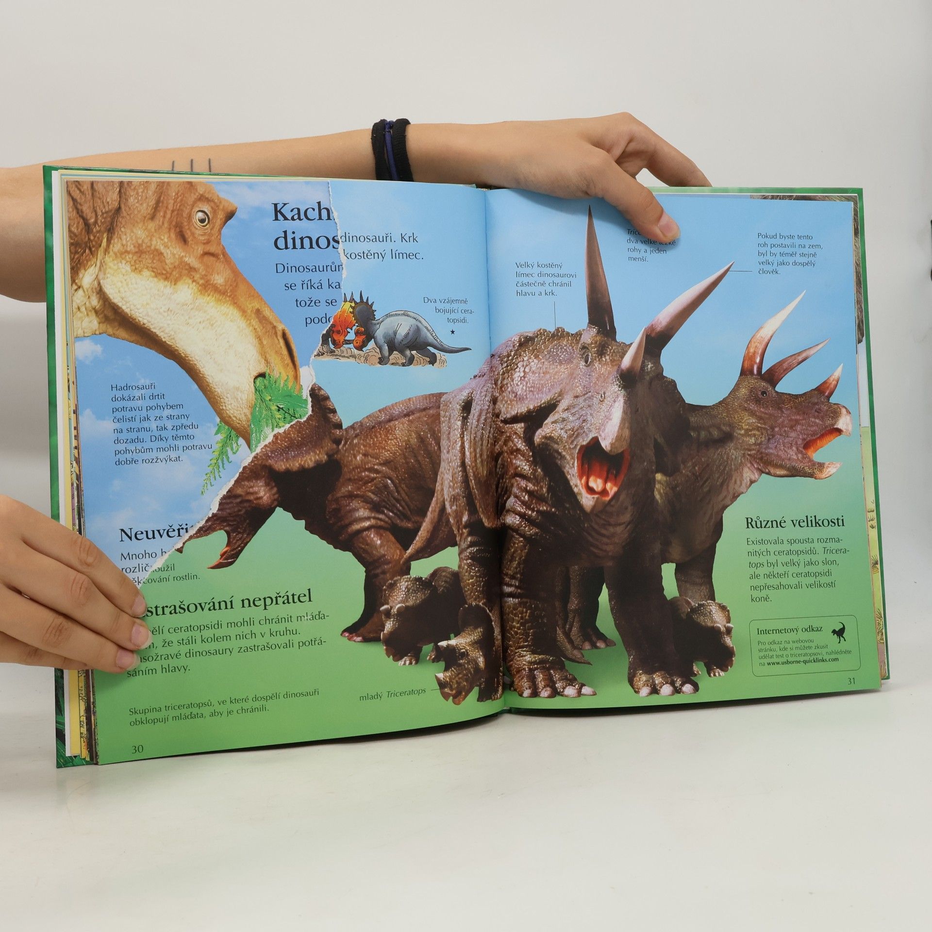 Sam Taplin Dinosauři a prehistorický život: Obrazová encyklopedie