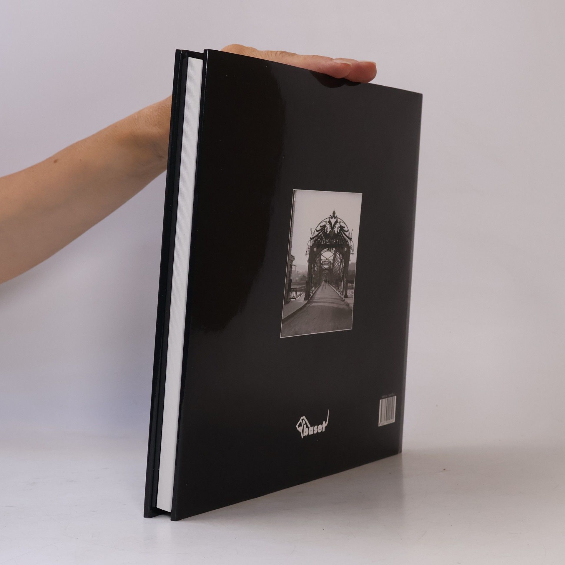 Pavel Scheufler František Krátký : český fotograf před sto lety