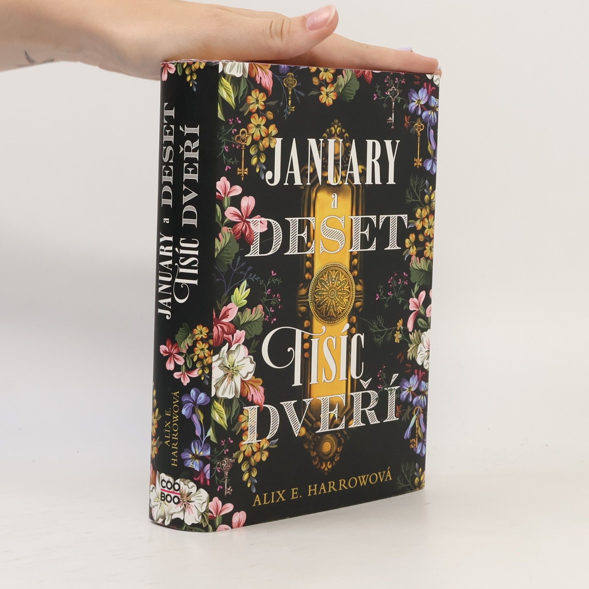 Alix E. Harrow January a Deset tisíc dveří