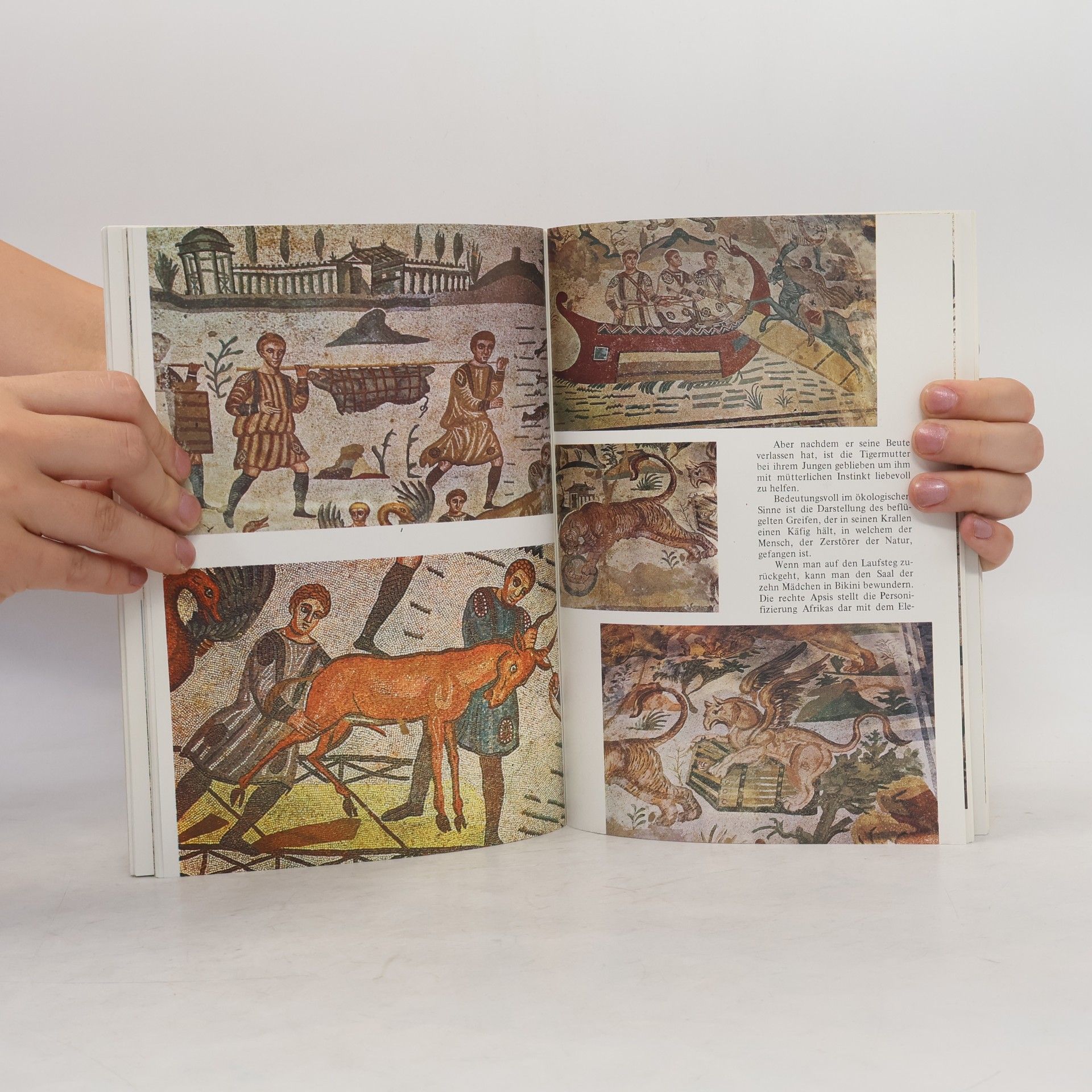 Autorenkollektiv Piazza Armerina: Die Mosaiken der Villa del Casale