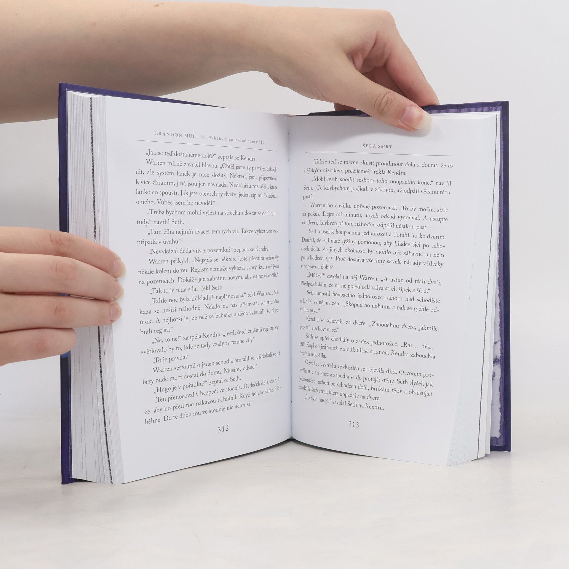 Brandon Mull Příběhy z kouzelné obory 3. Šedá smrt