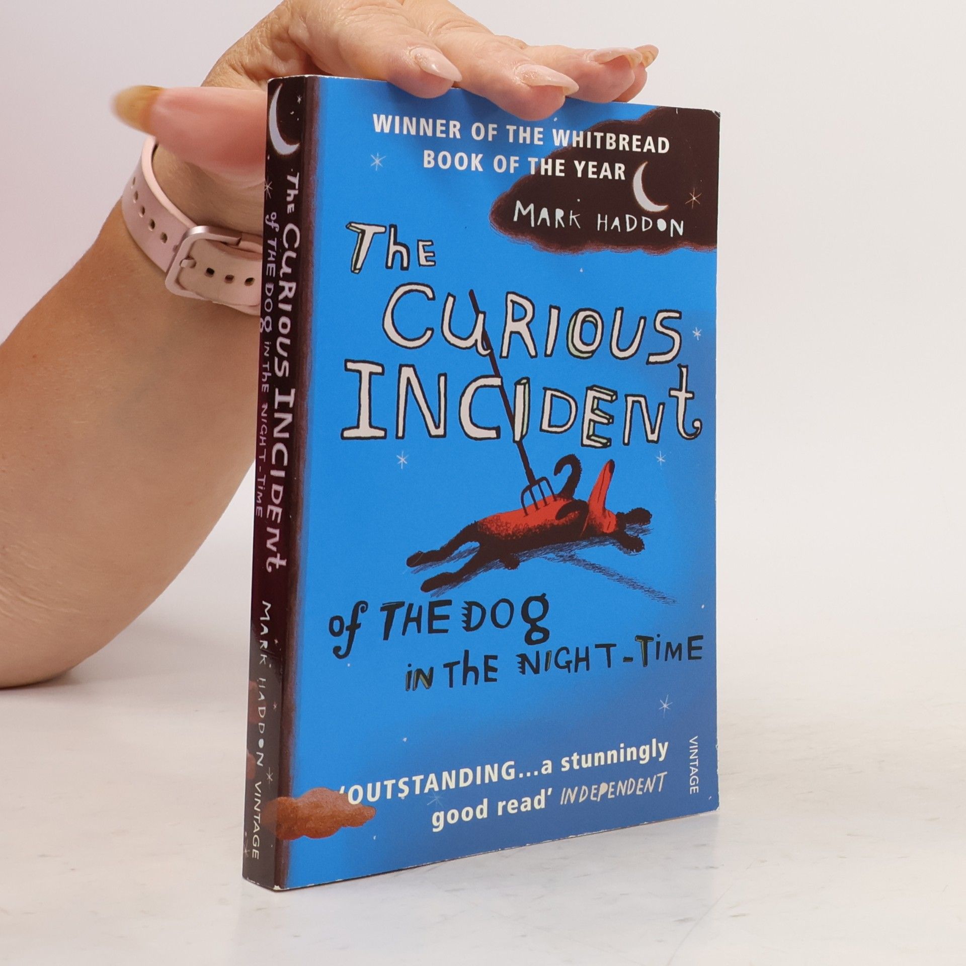 Mark Haddon The Curious Incident of The Dog in The Night-Time