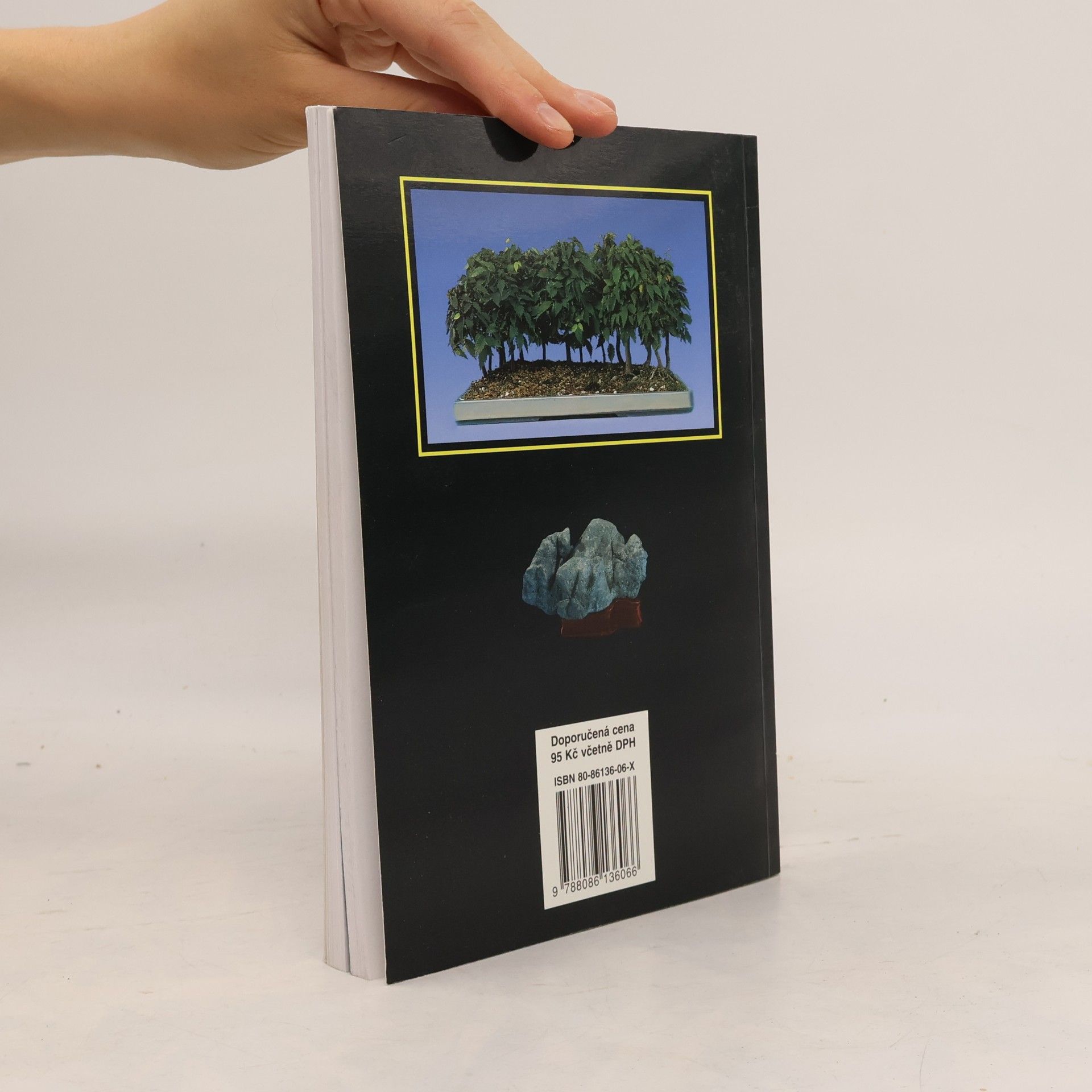 Karel Jan Štolc Bonsai