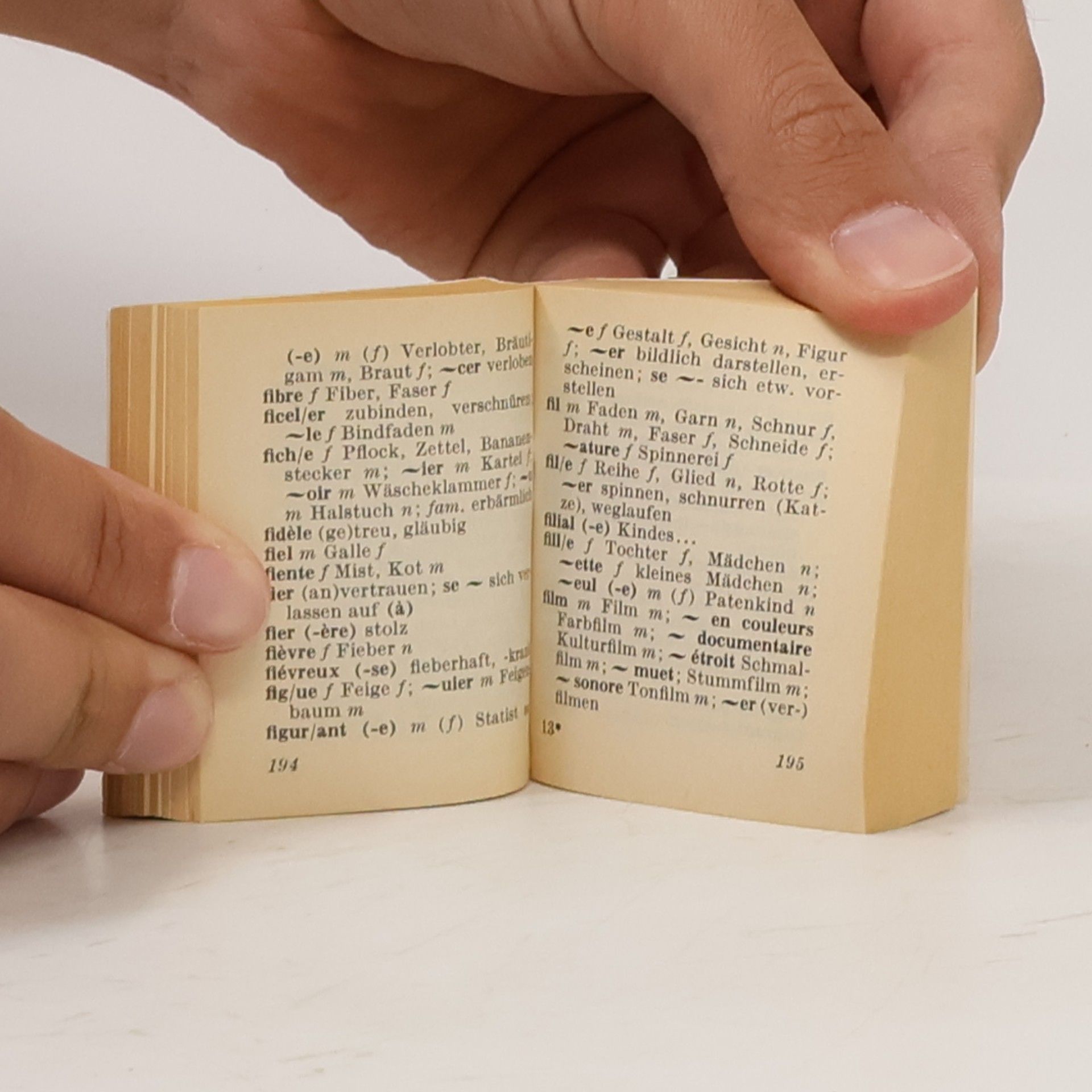Französisch-deutsches Wörterbuch