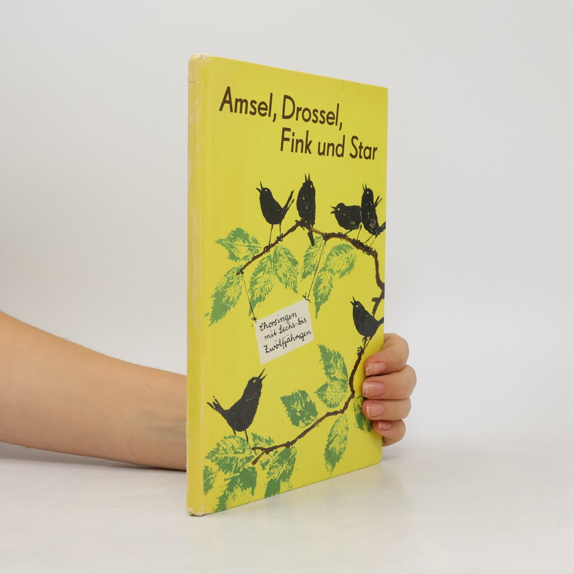 Kolektiv autorů Amsel, Drossel, Fink und Star