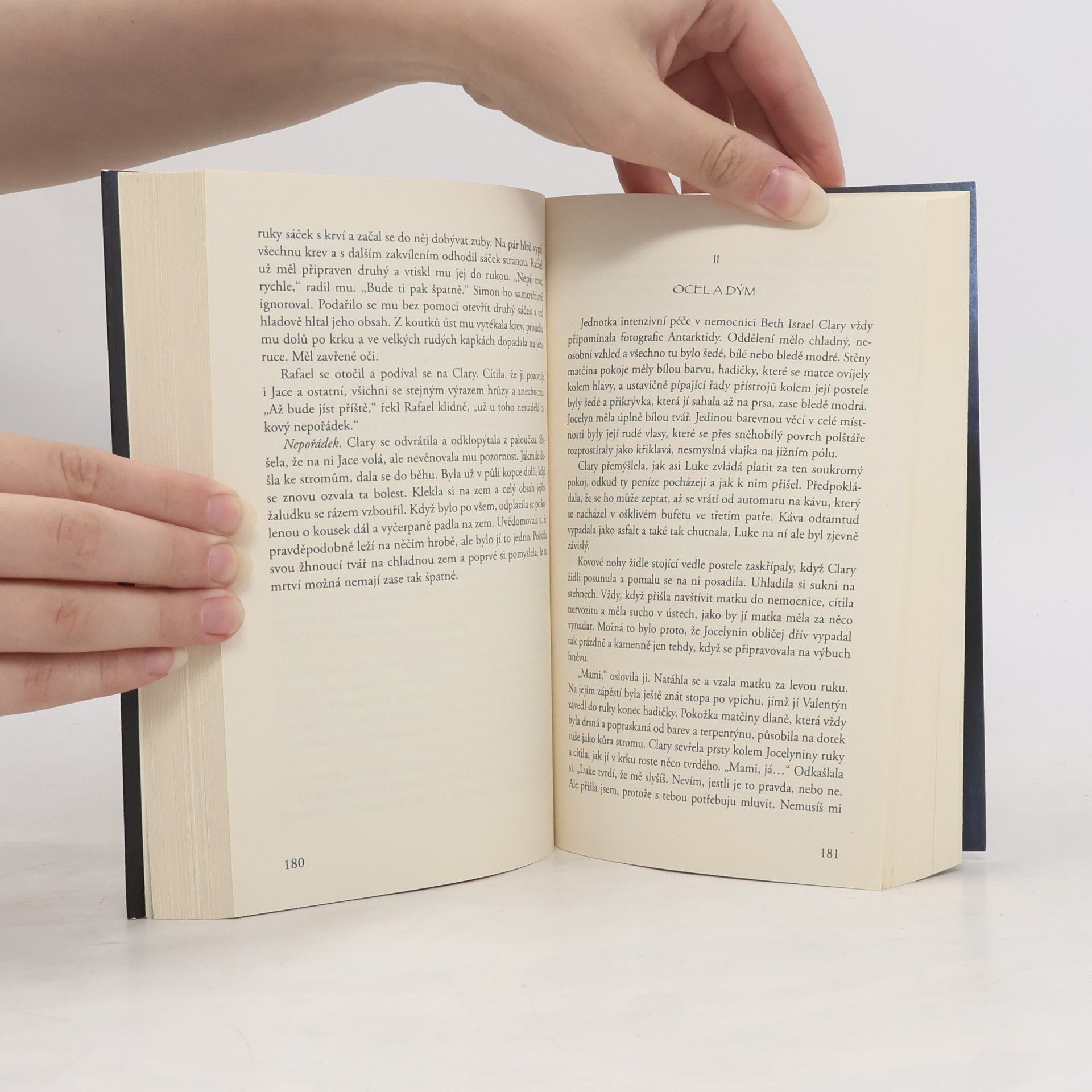 Cassandra Clare Nástroje smrti 2: Město z popela