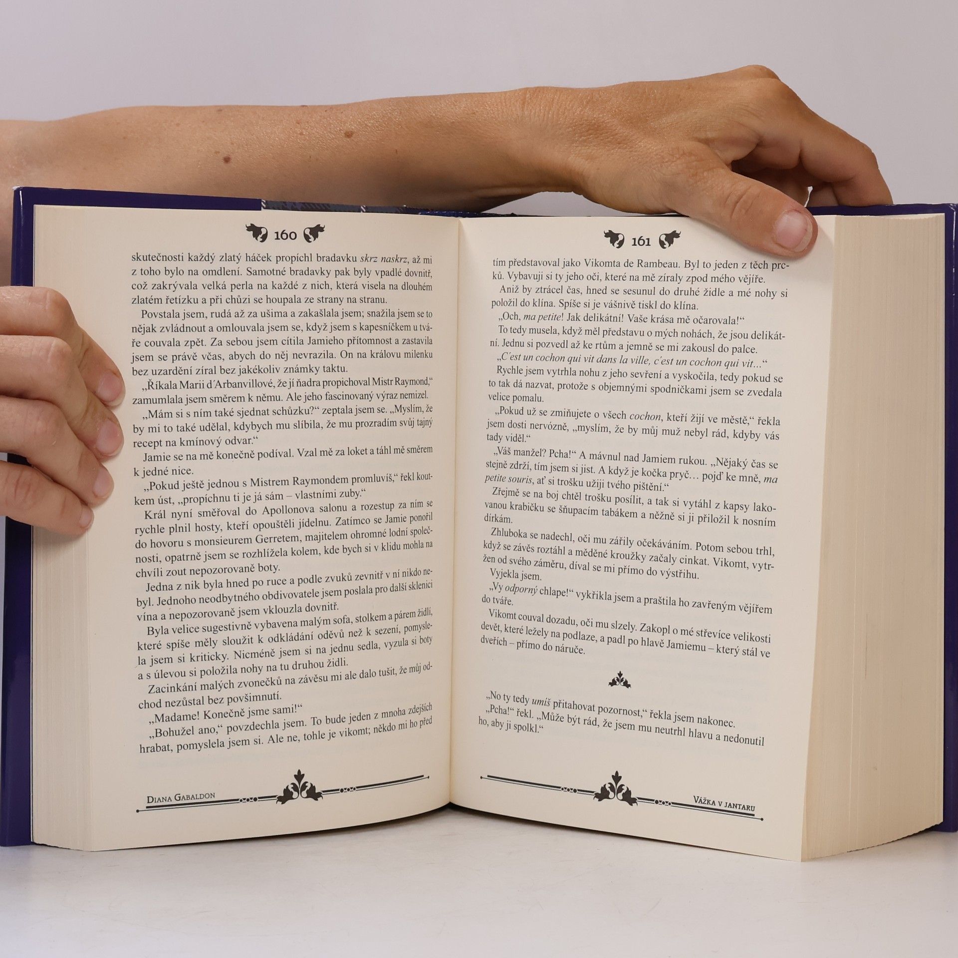 Diana Gabaldon Vážka v jantaru