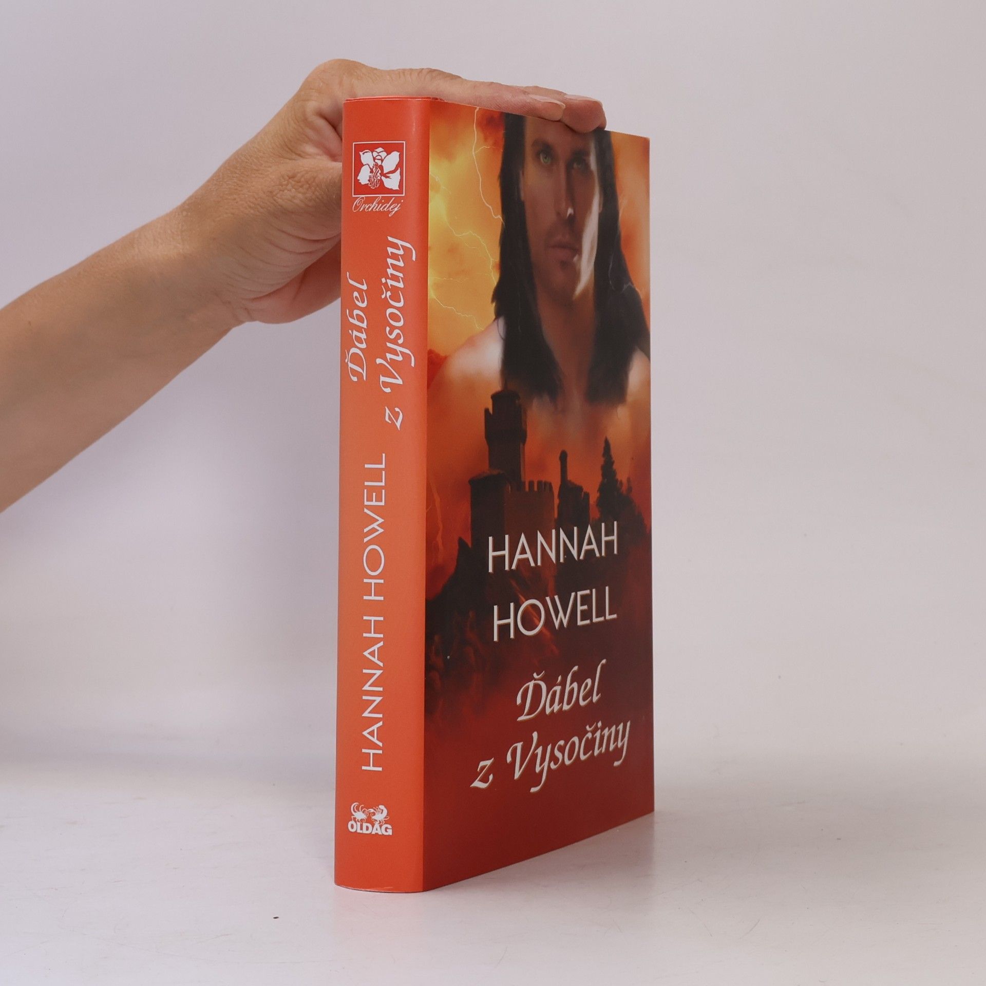 Hannah Howell Ďábel z Vysočiny