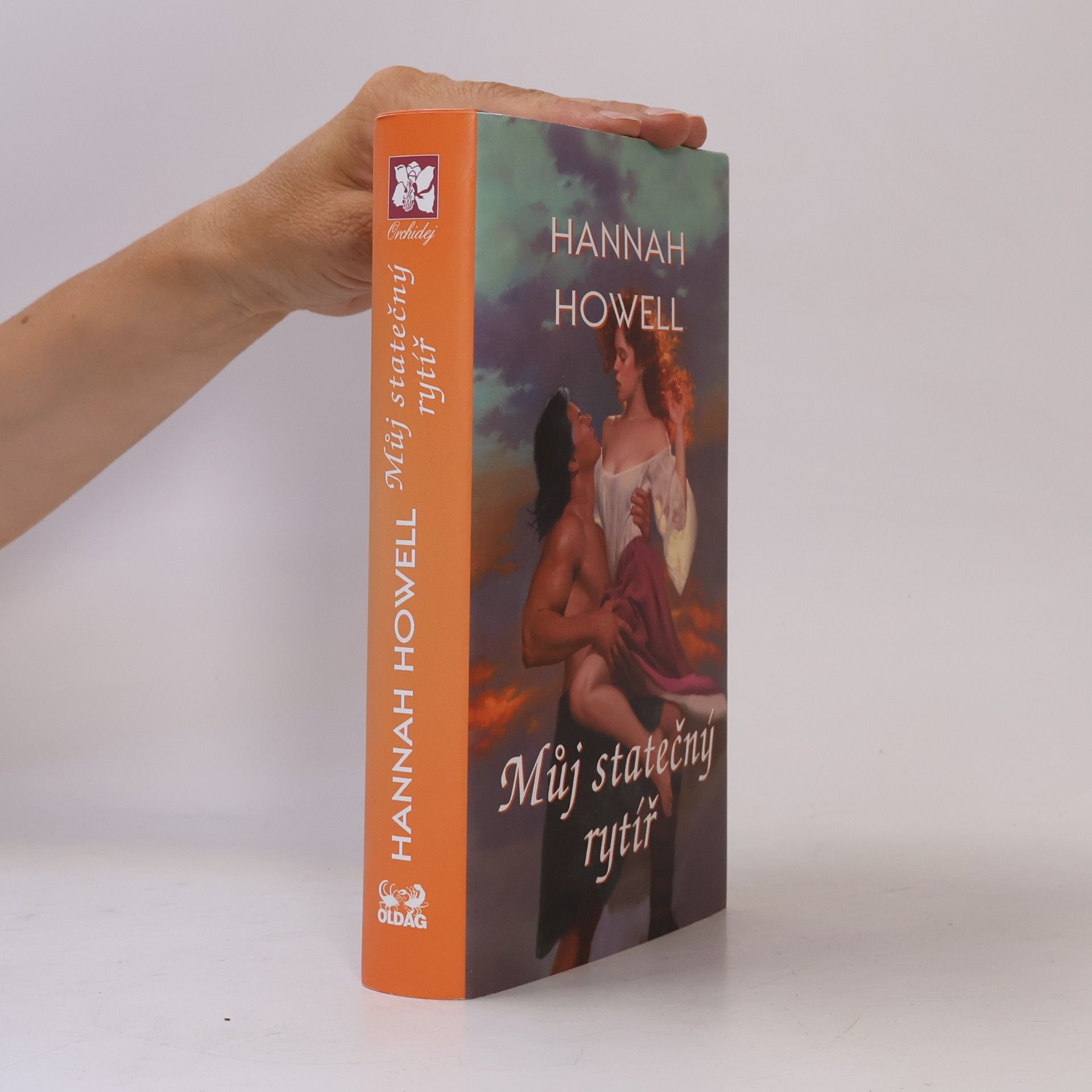 Hannah Howell Můj statečný rytíř