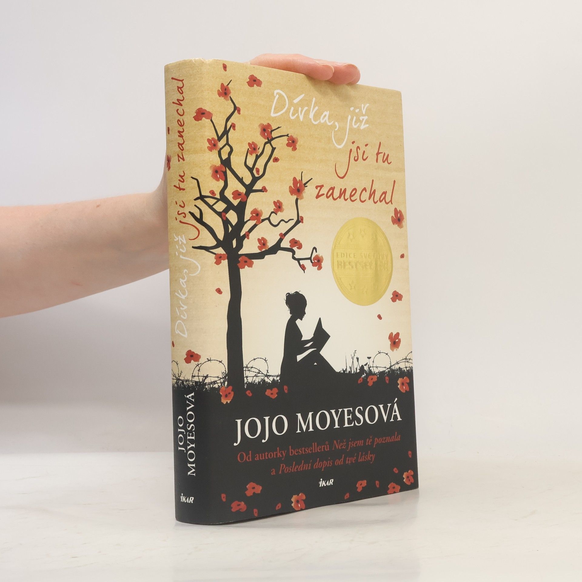Jojo Moyes Dívka, již jsi tu zanechal