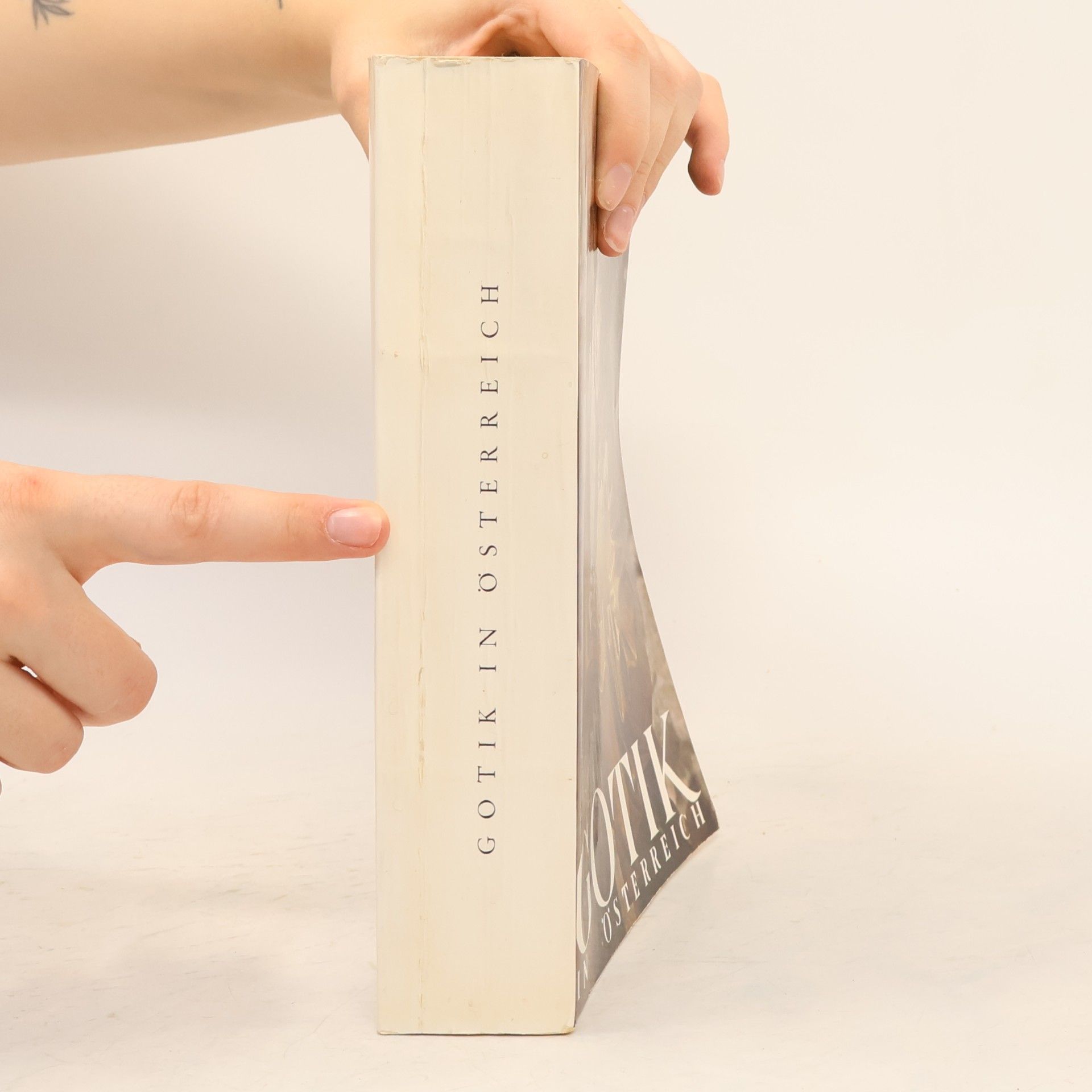 Autorenkollektiv Gotik in Österreich