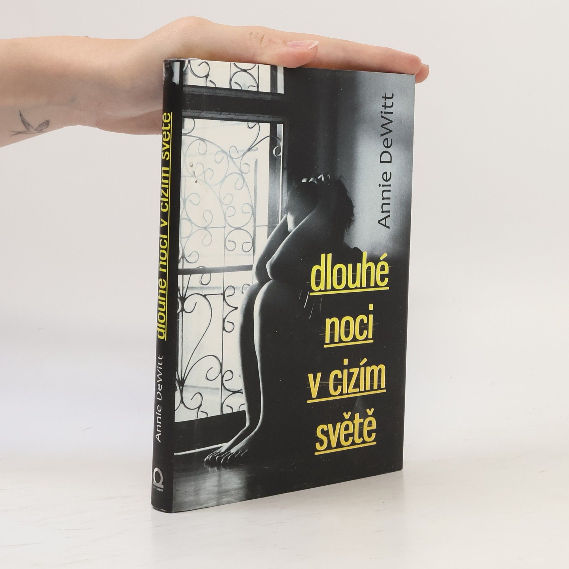 Annie DeWitt Dlouhé noci v cizím světě
