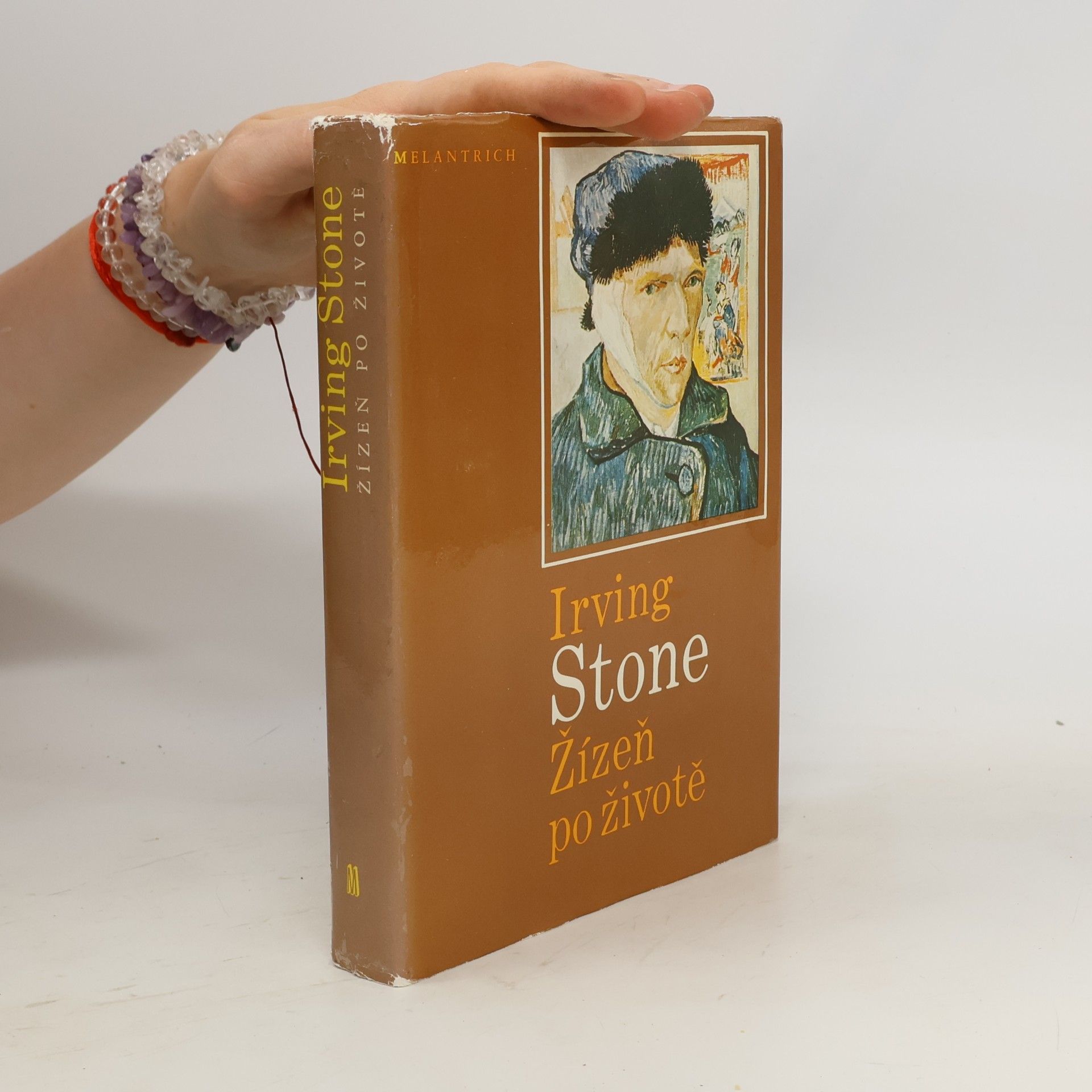 Irving Stone Žízeň po životě