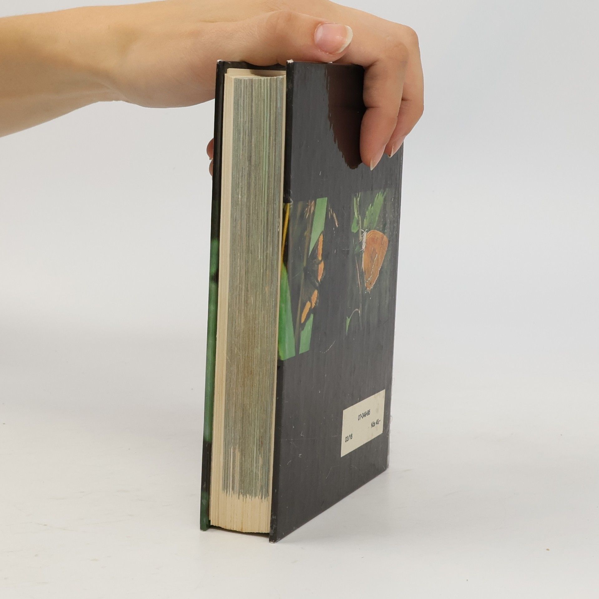 Rudolf Hrabák Kapesní atlas našich motýlů