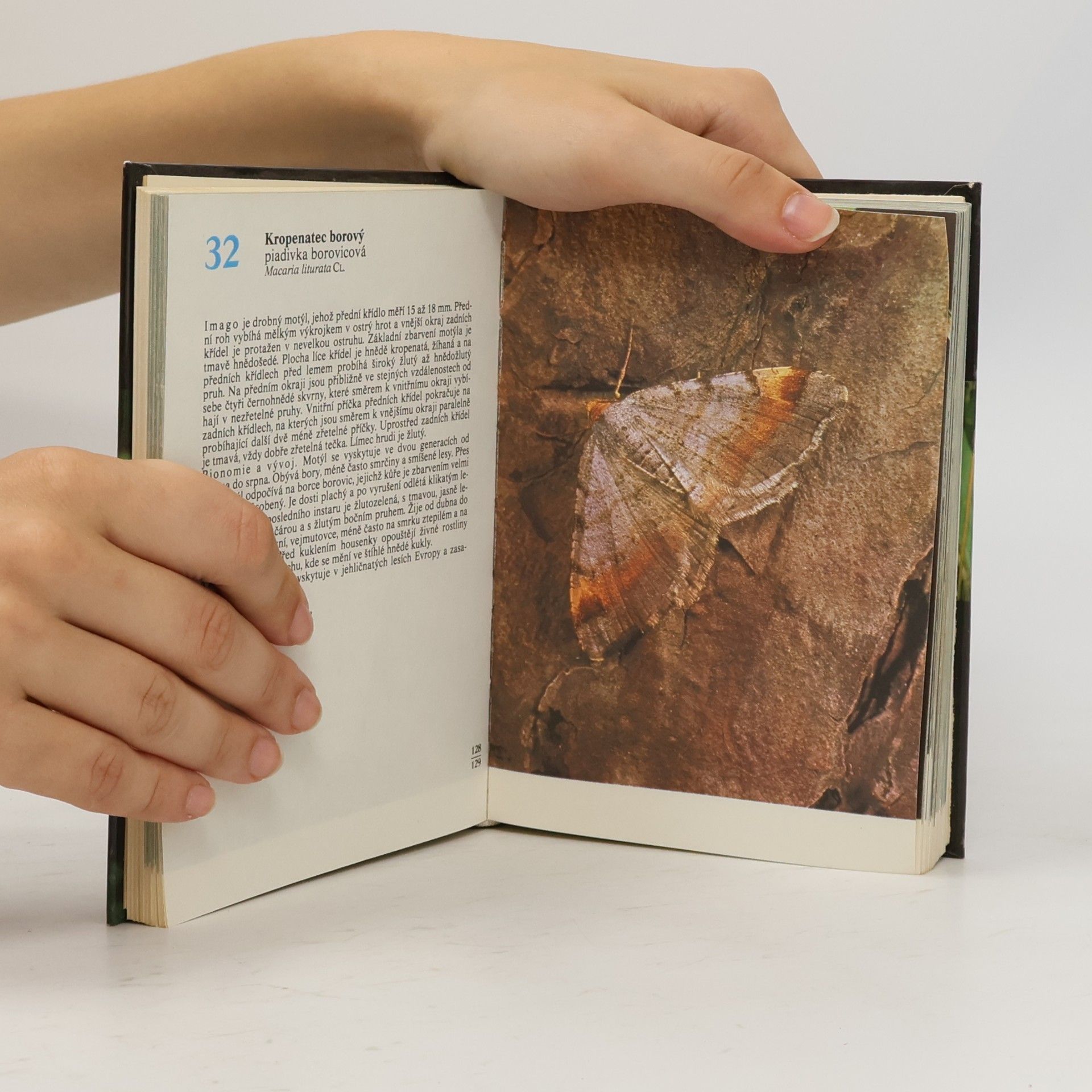 Rudolf Hrabák Kapesní atlas našich motýlů