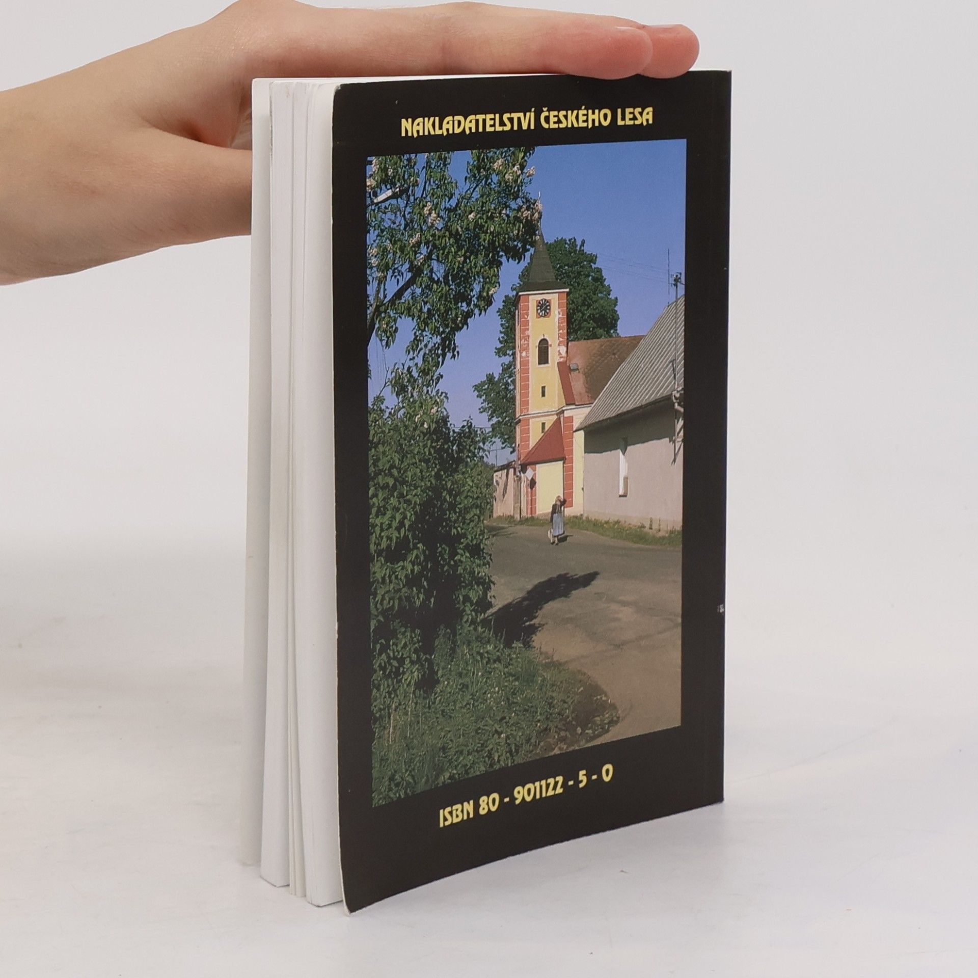 Winfried Baumann Domažlicko a Kdyňsko = Tauser und Neugedeiner Region