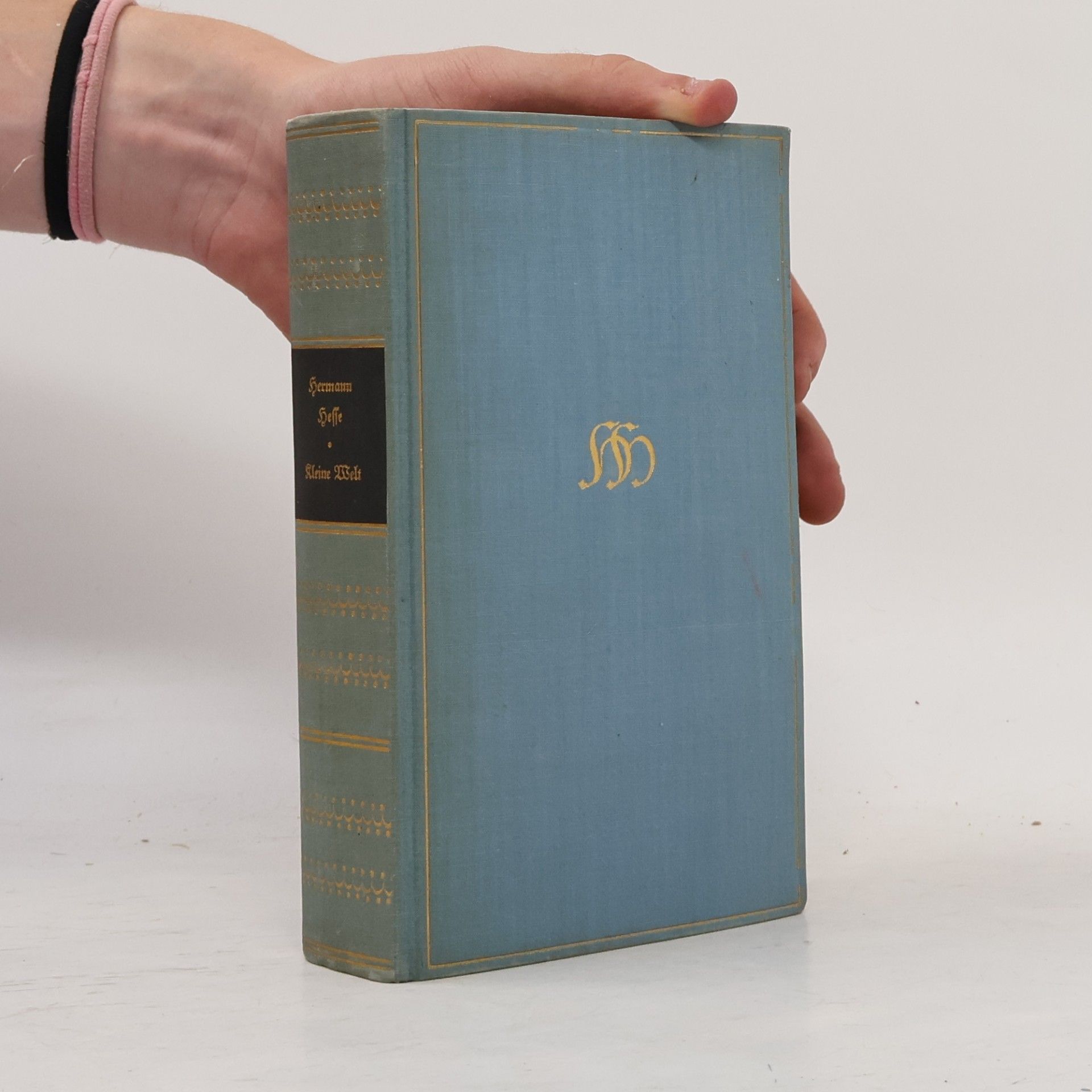 Hermann Hesse Kleine Welt
