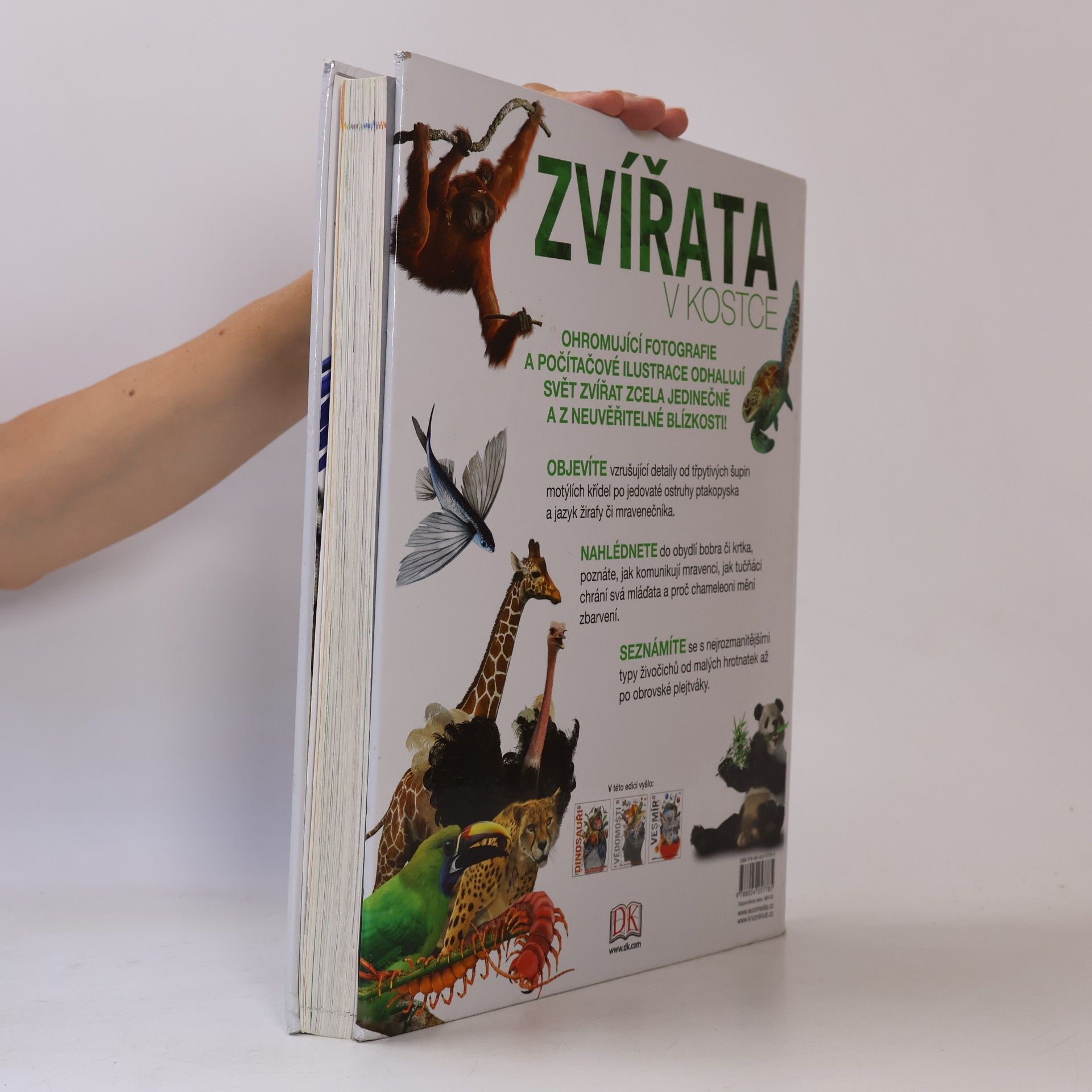 Kolektiv autorů Zvířata v kostce