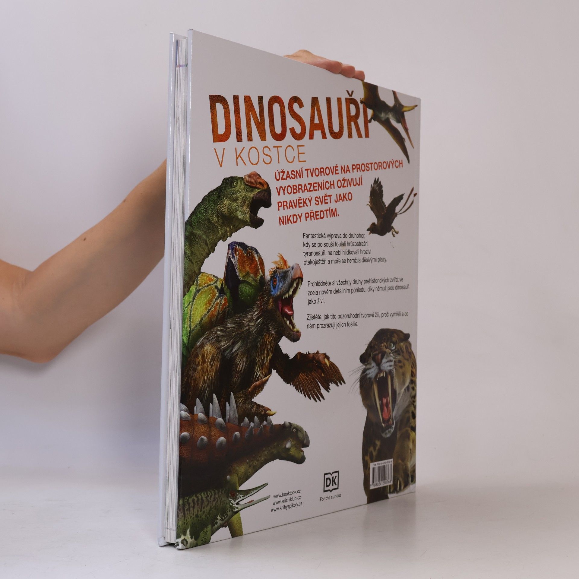 Auteurscollectief Dinosauři v kostce