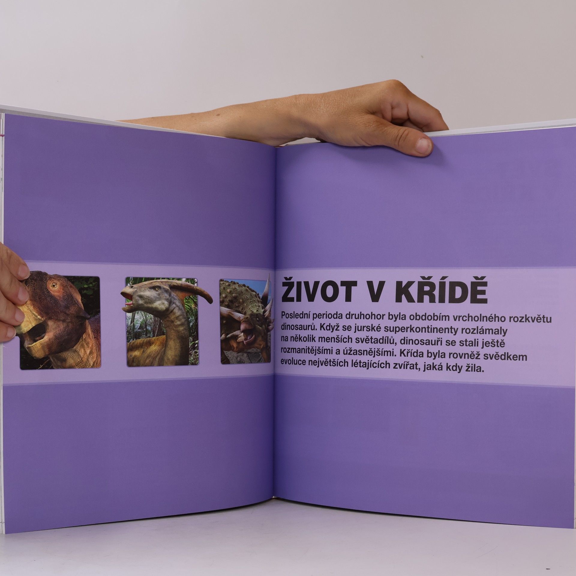 Auteurscollectief Dinosauři v kostce