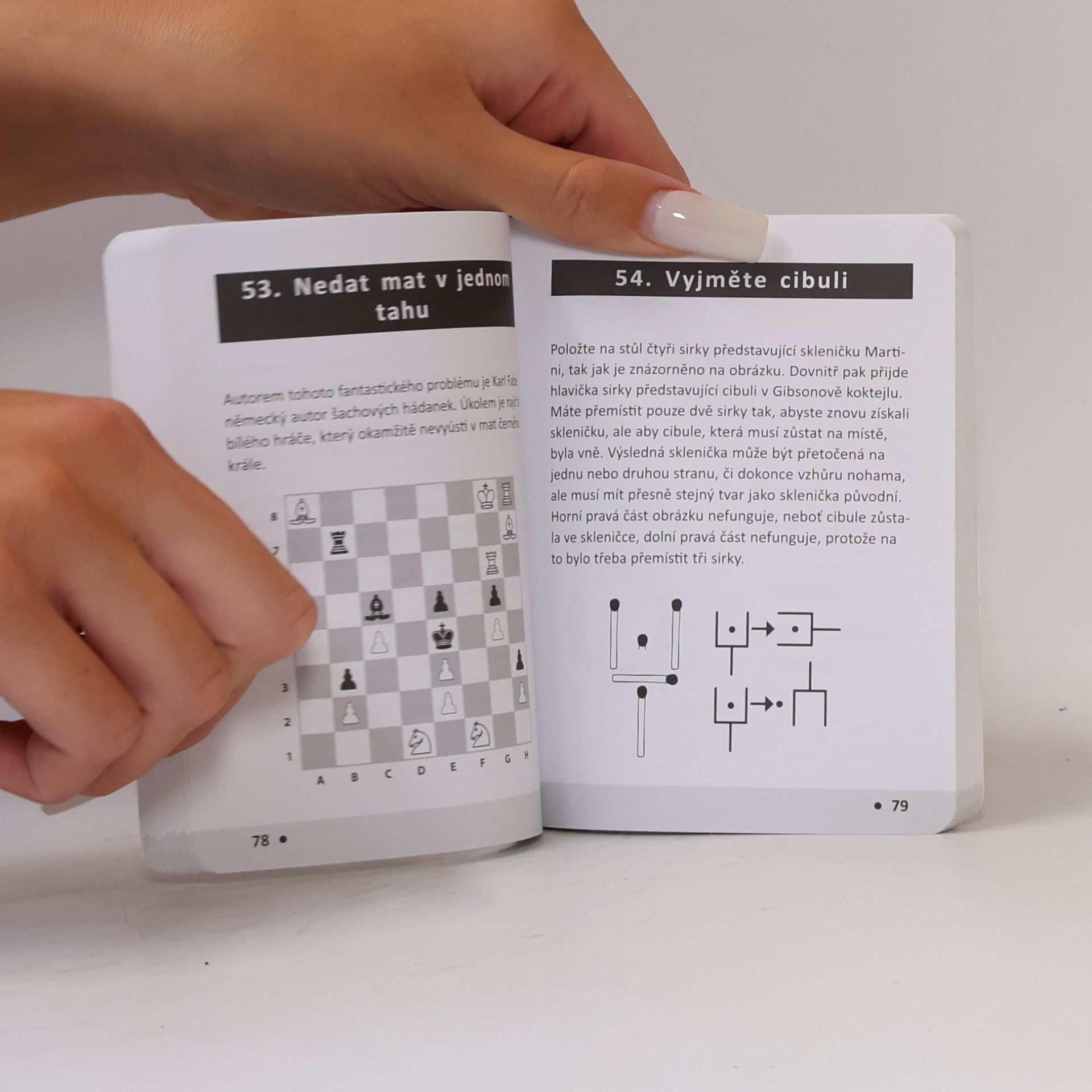 Martin Gardner Jakou barvu má medvěd? Nejlepší matematické a logické hádanky