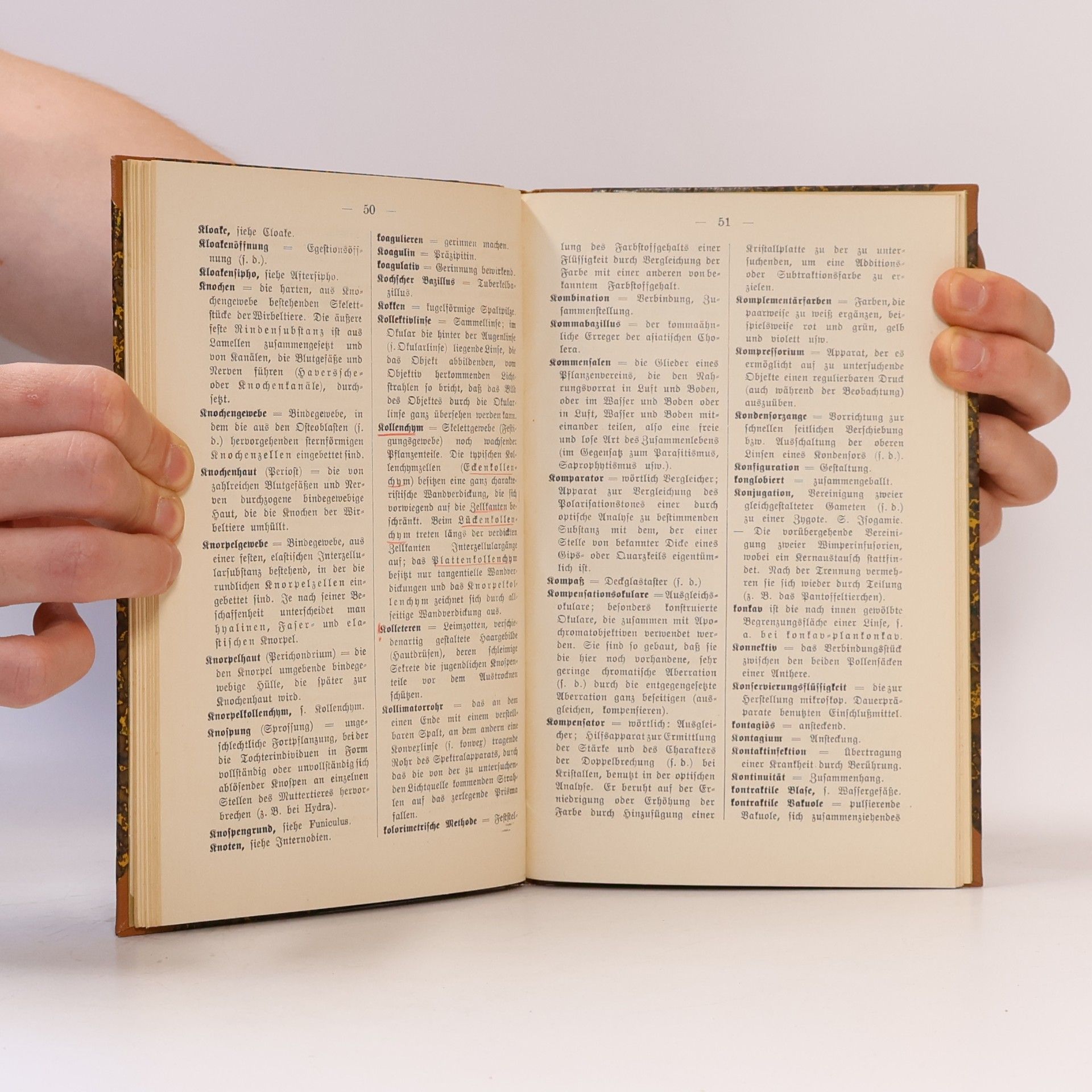 Hanns Günther Wörterbuch der mikrokospie