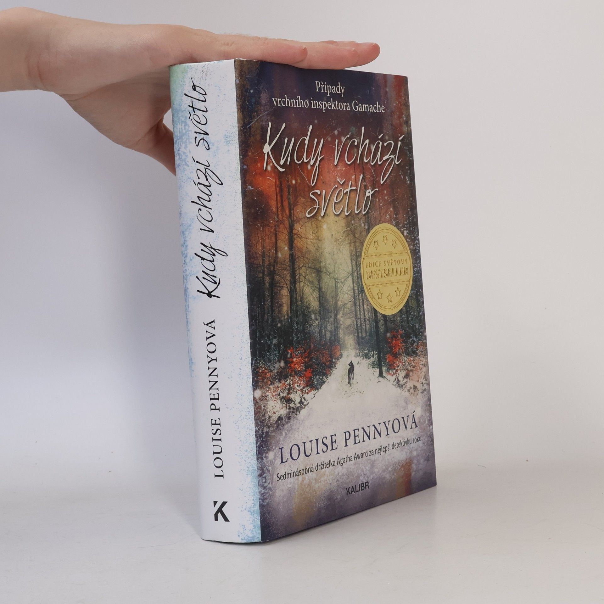 Louise Penny Kudy vchází světlo