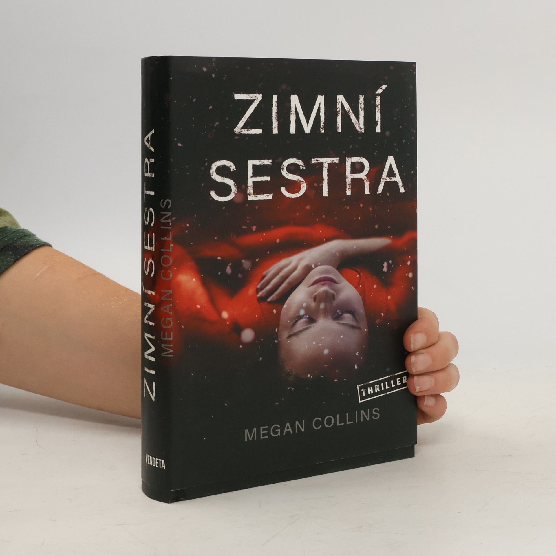 Zimní sestra