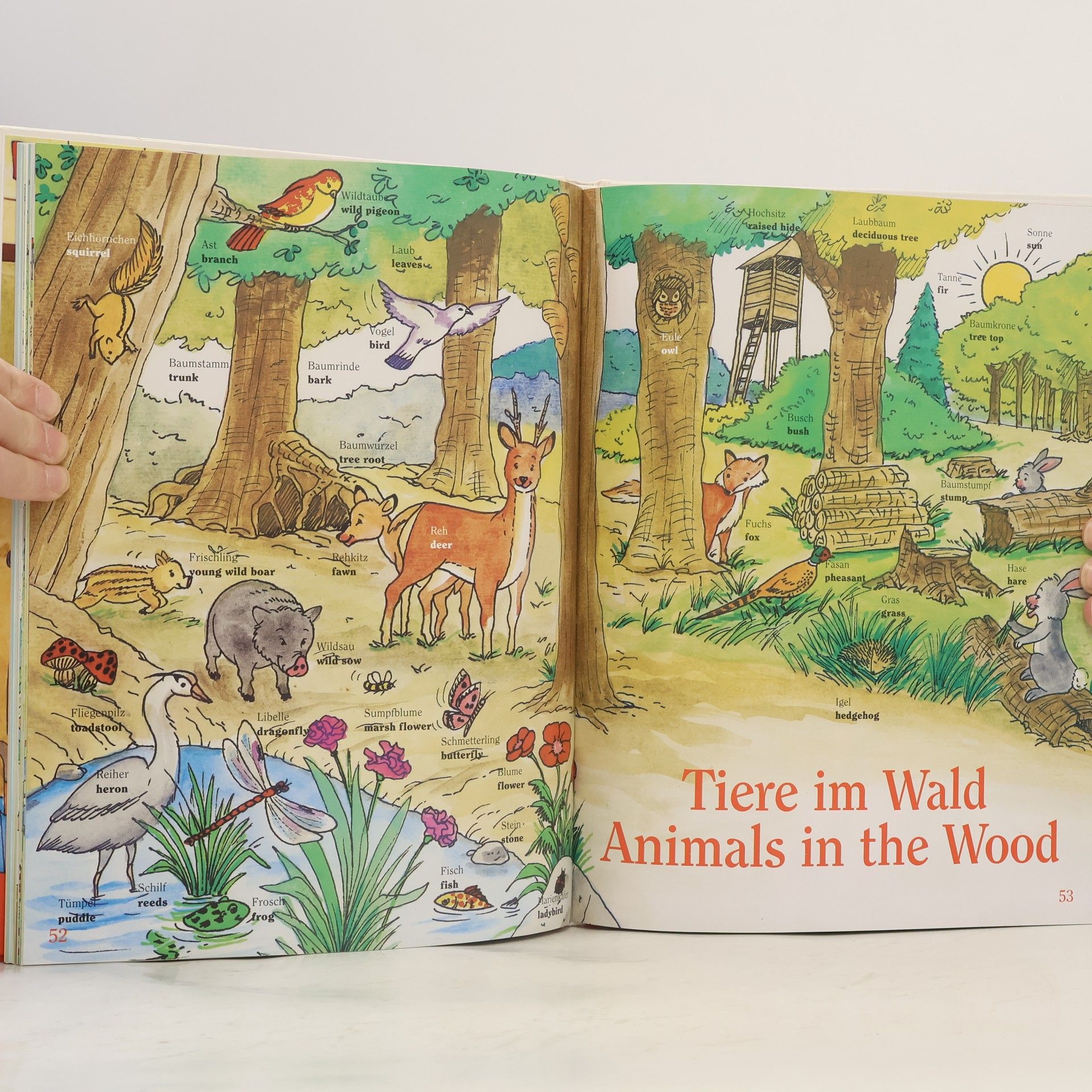 Kolektiv autorů Mein allererstes Wörterbuch. English for Kids