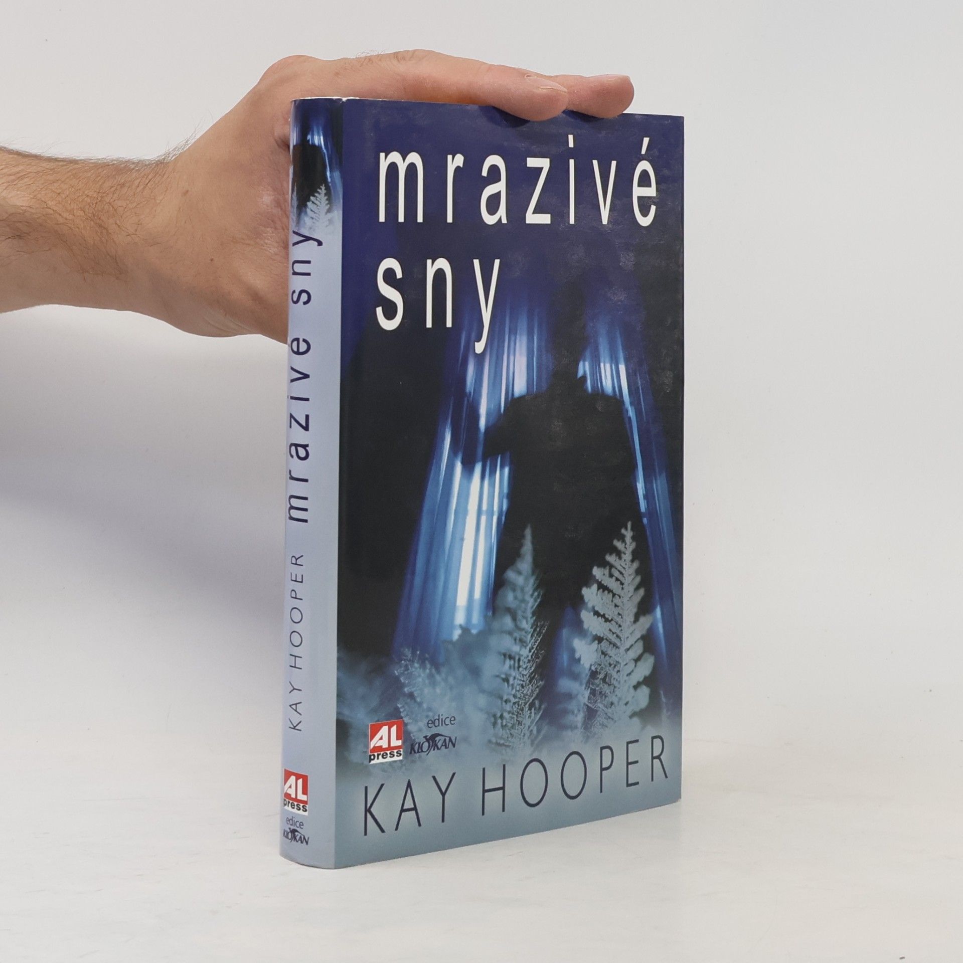 Kay Hooper Mrazivé sny