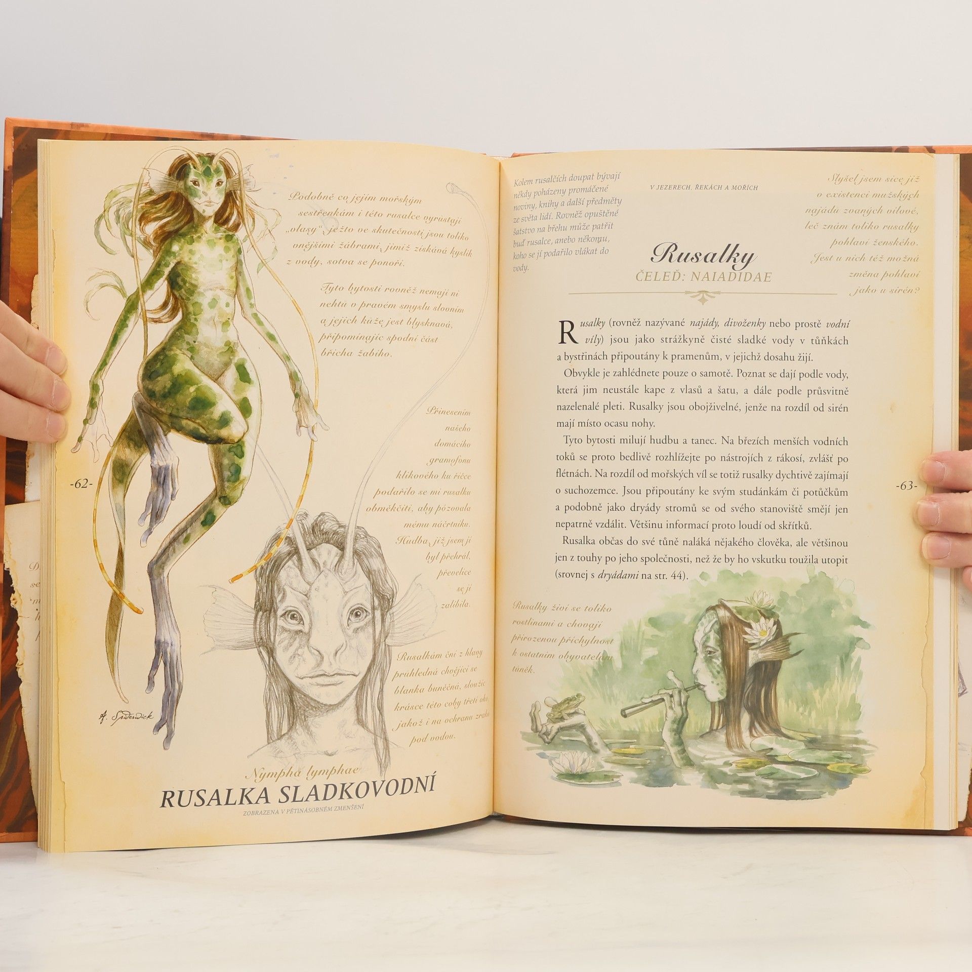 Tony DiTerlizzi Arthur Spiderwick: klíč k určování kouzelných tvorů ve světě kolem nás