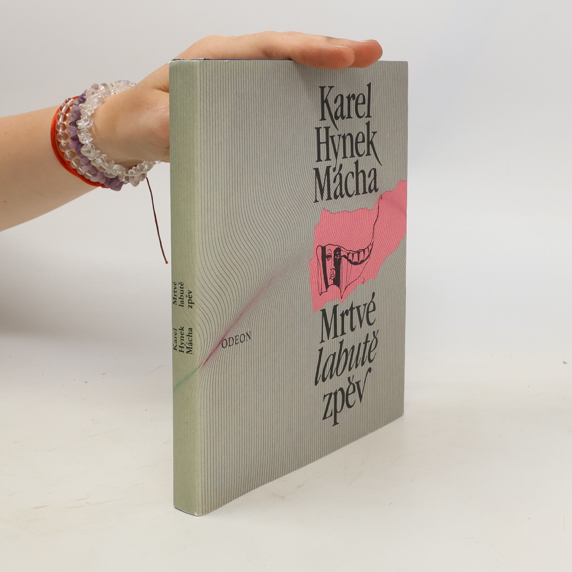 Karel Hynek Mácha Mrtvé labutě zpěv